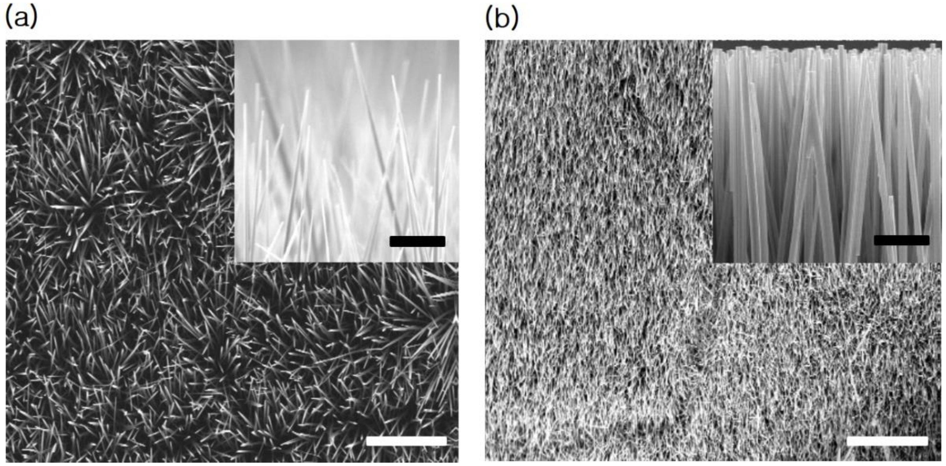 Nanomaterials 11 00450 g003 Nanomaterials 11 00450 g003