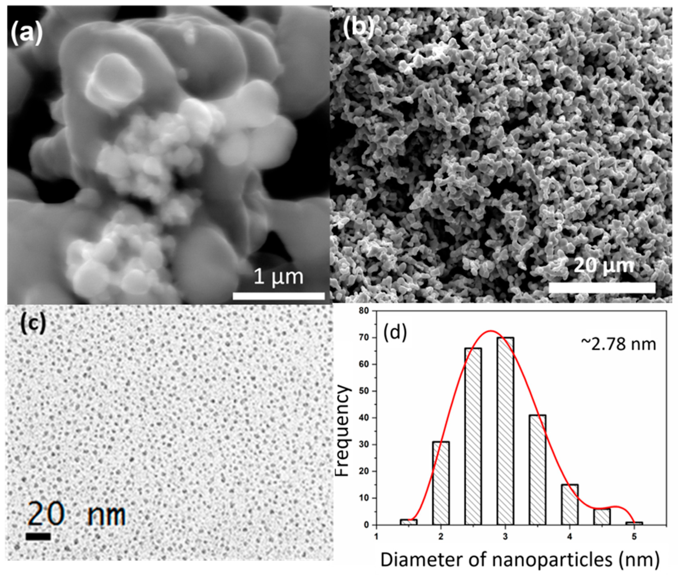 Nanomaterials 11 00452 g002