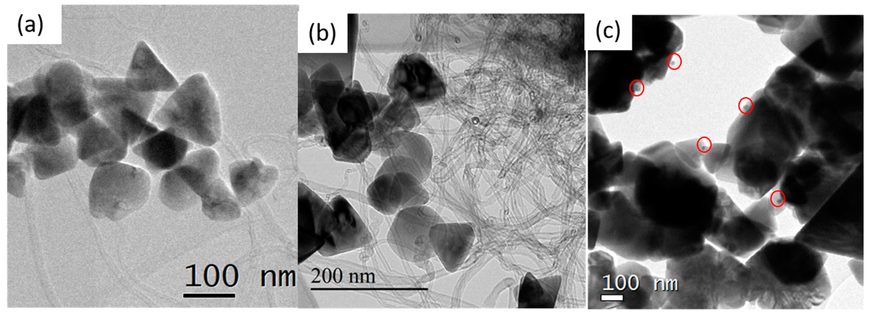 Nanomaterials 11 00452 g003