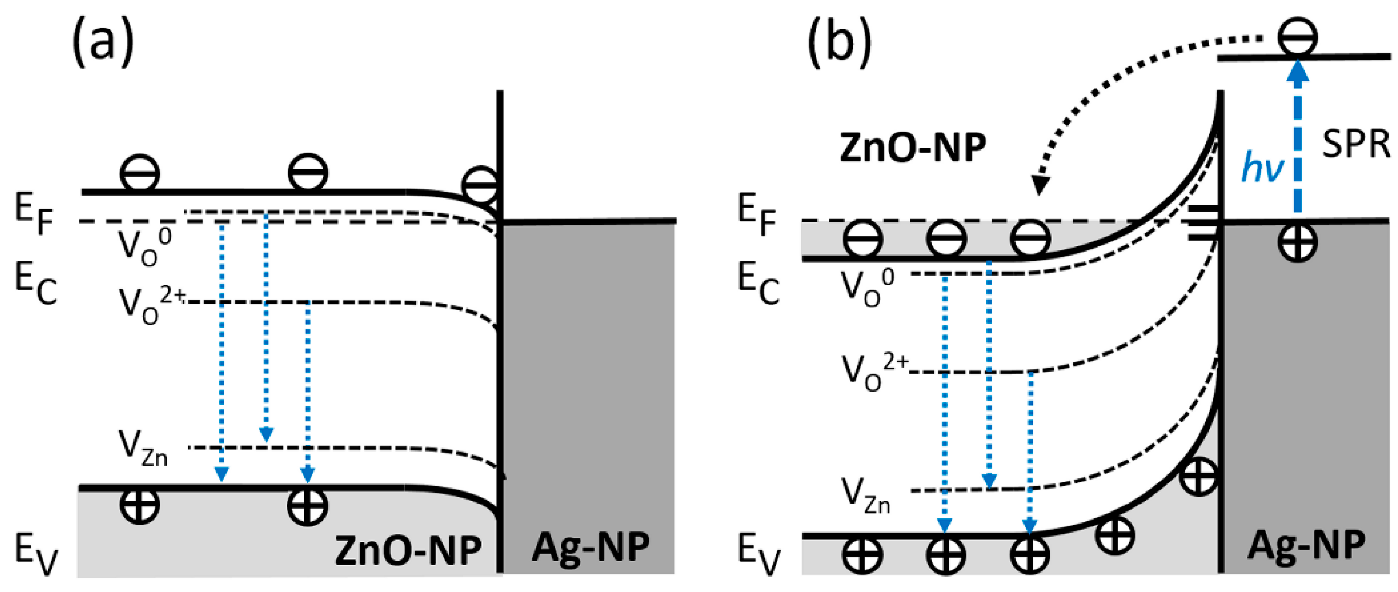 Nanomaterials 11 00452 g007