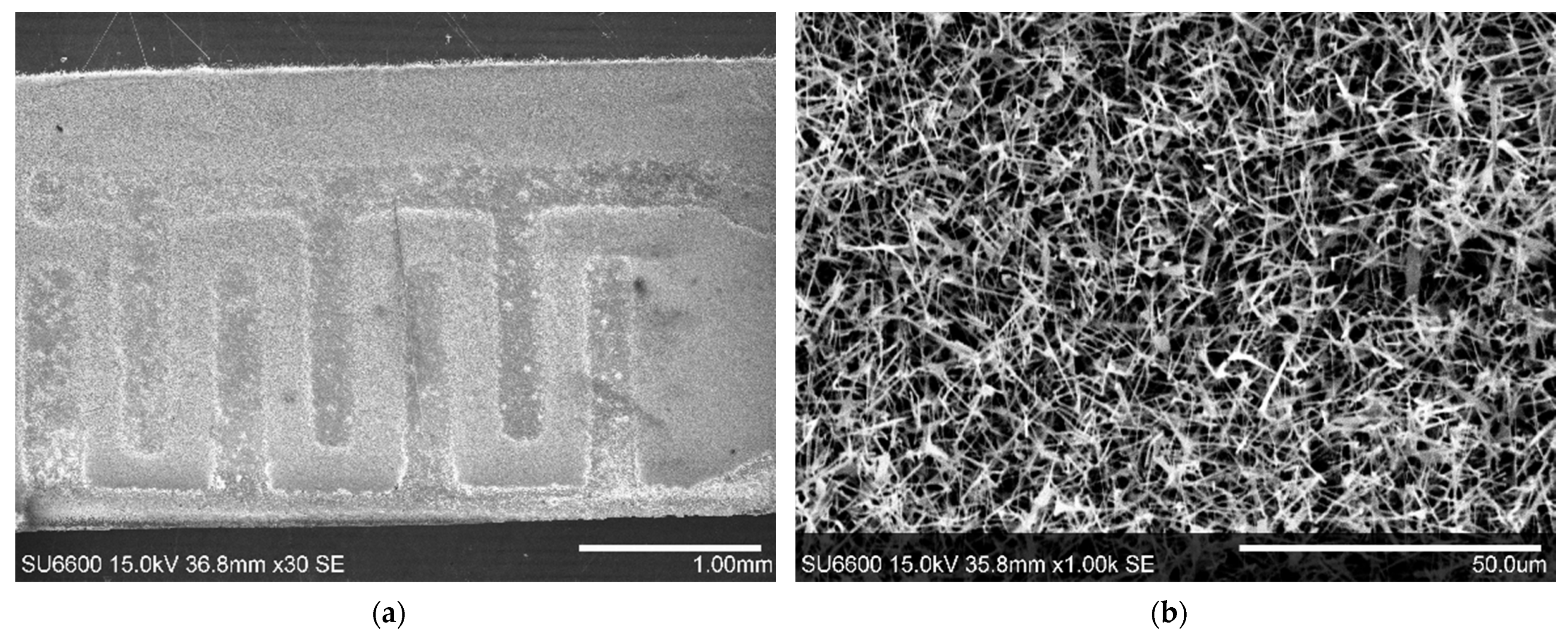 Nanomaterials 11 00456 g003 Nanomaterials 11 00456 g003