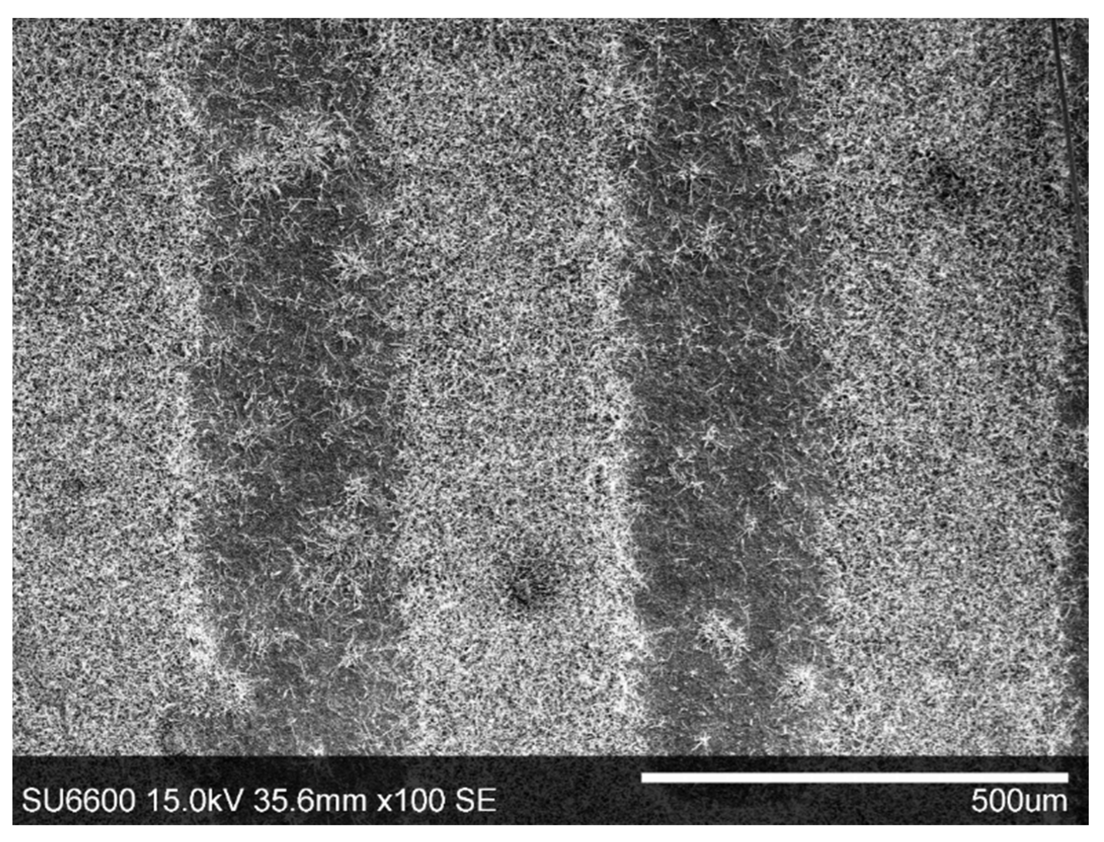 Nanomaterials 11 00456 g004 Nanomaterials 11 00456 g004