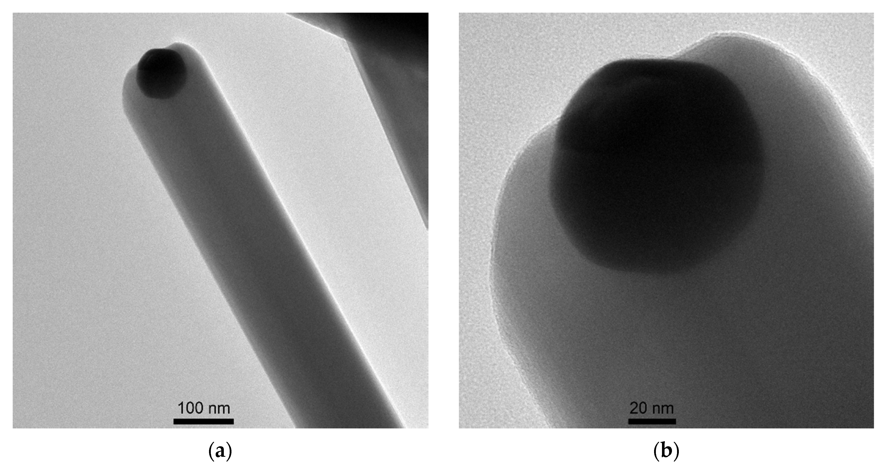Nanomaterials 11 00456 g005 Nanomaterials 11 00456 g005