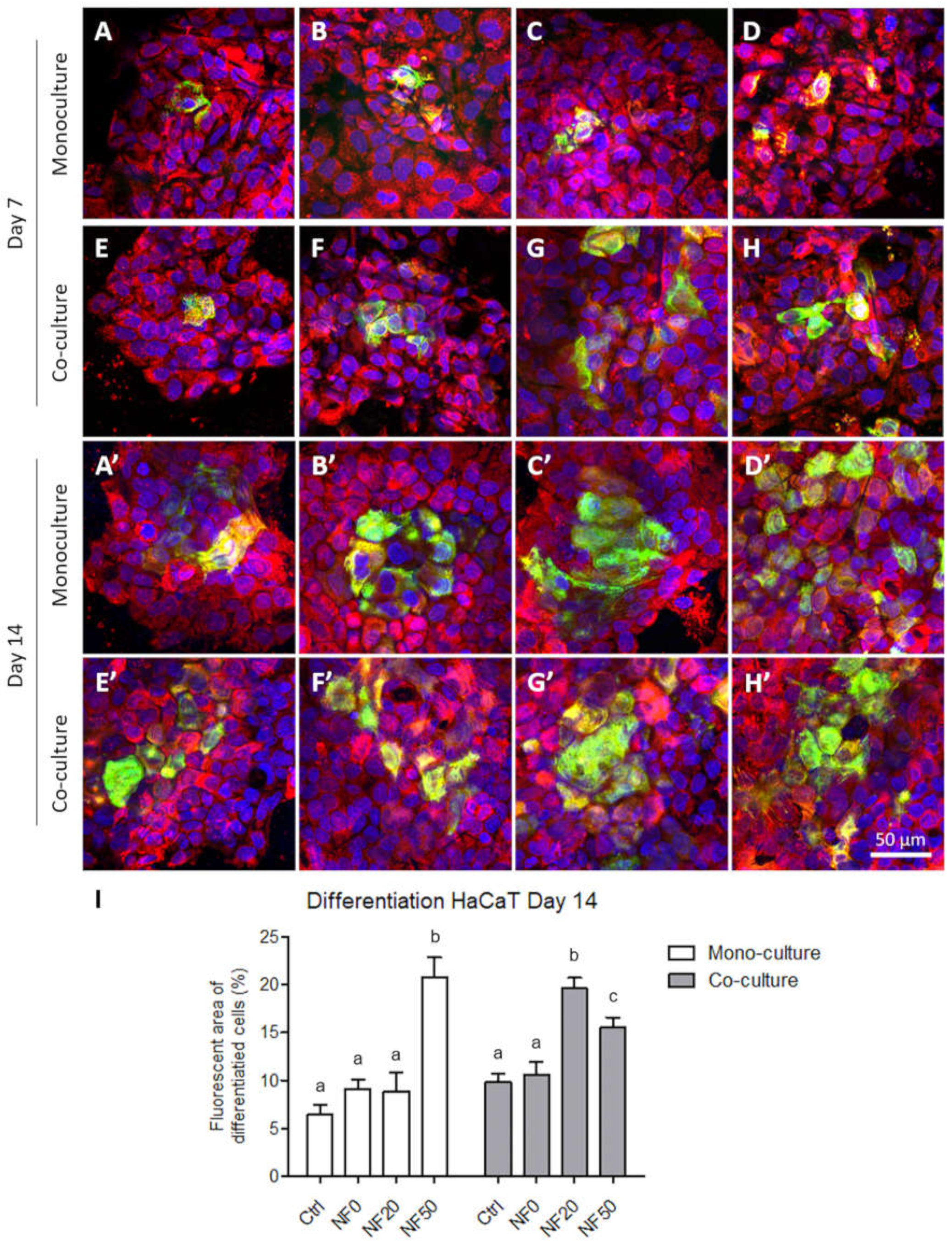 Nanomaterials 11 00457 g010