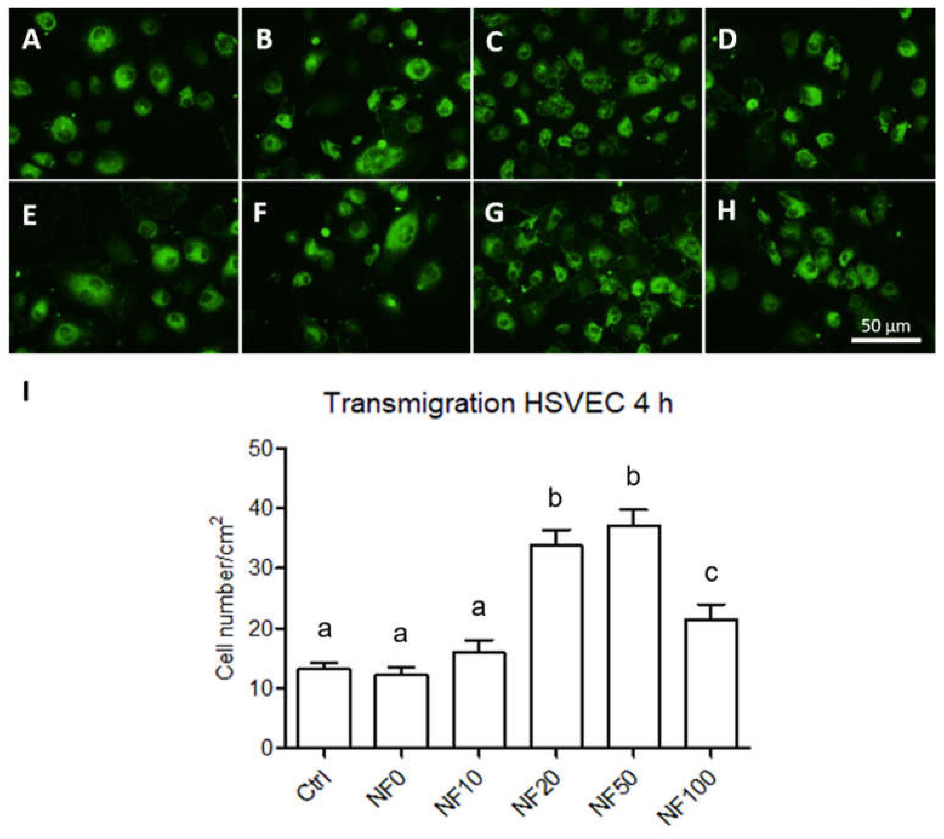 Nanomaterials 11 00457 g011