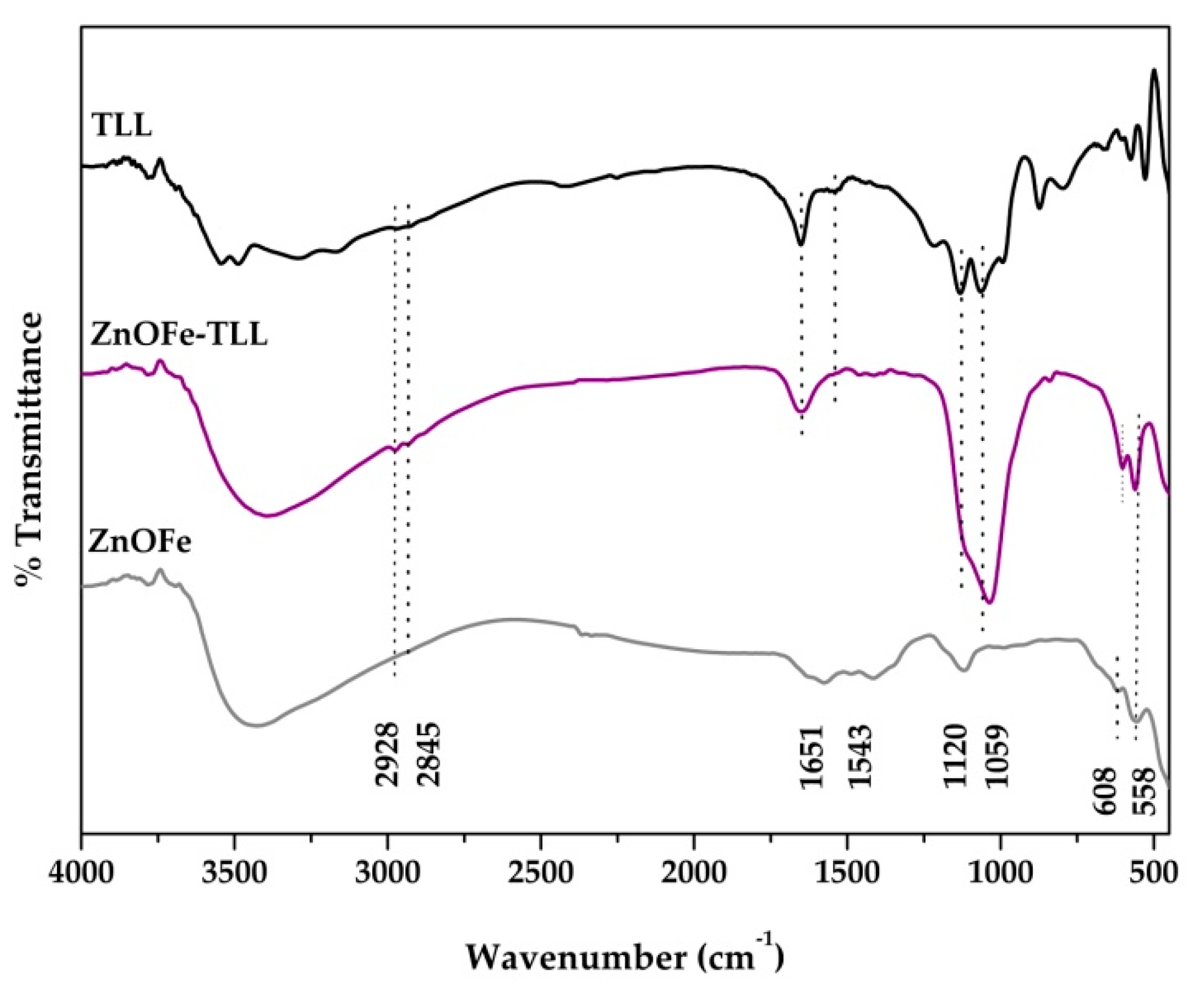Nanomaterials 11 00458 g006