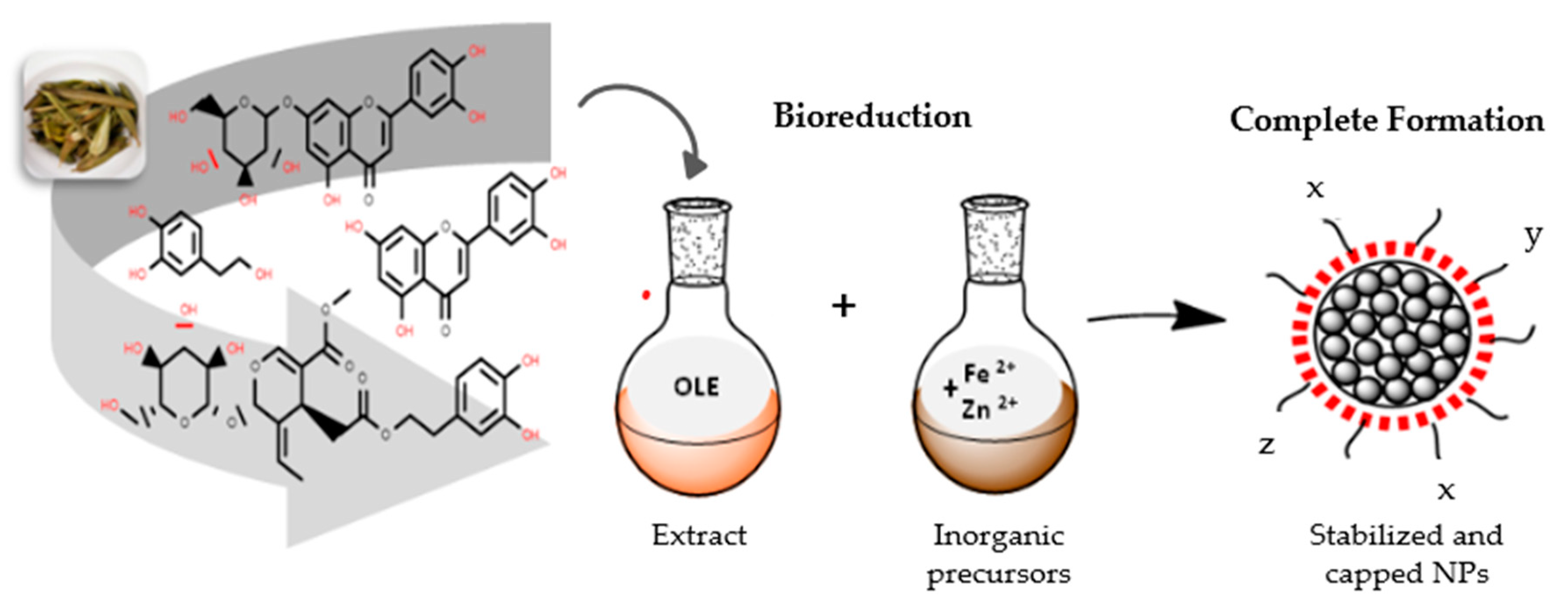 Nanomaterials 11 00458 sch001