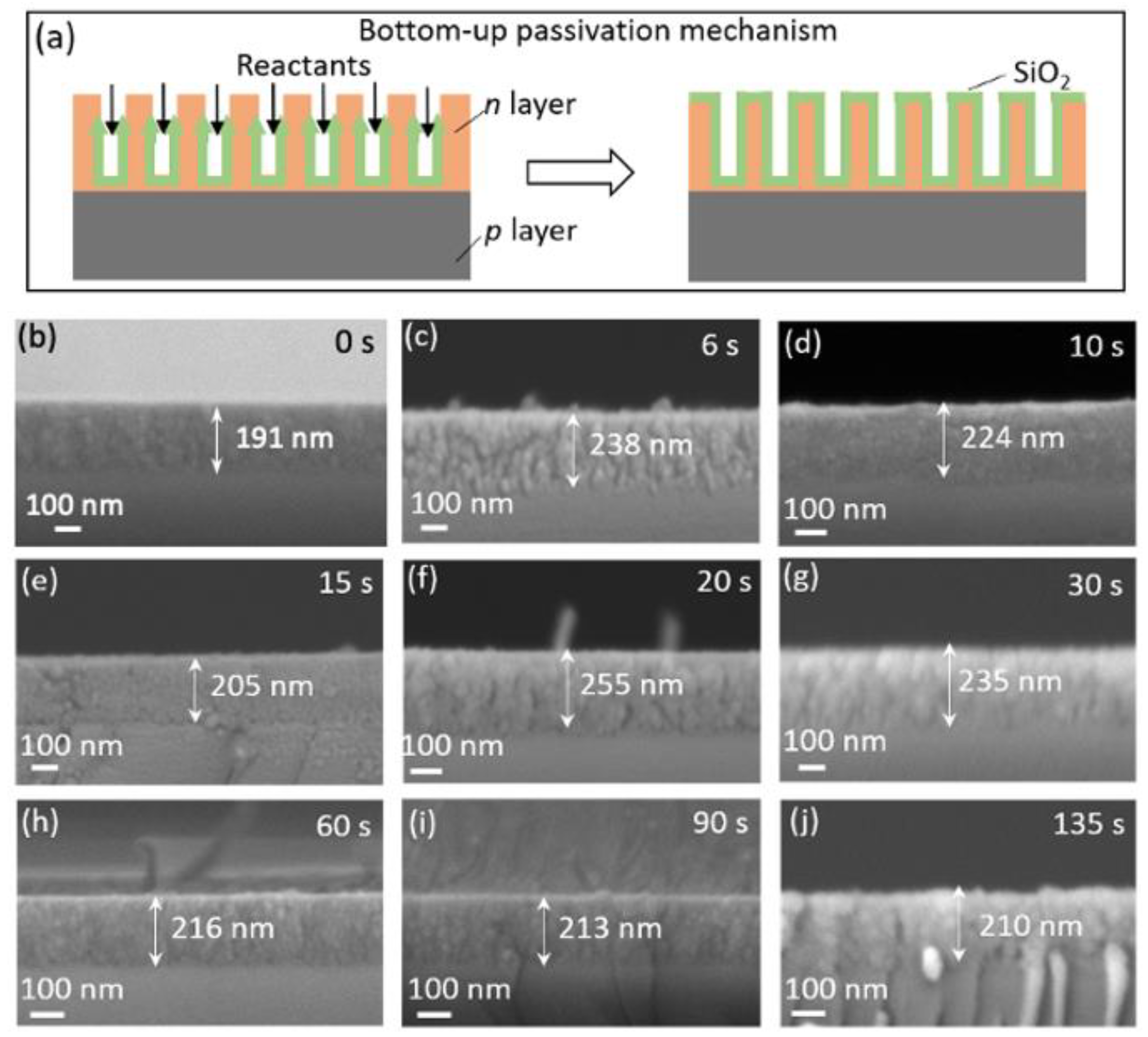 Nanomaterials 11 00459 g005 Nanomaterials 11 00459 g005