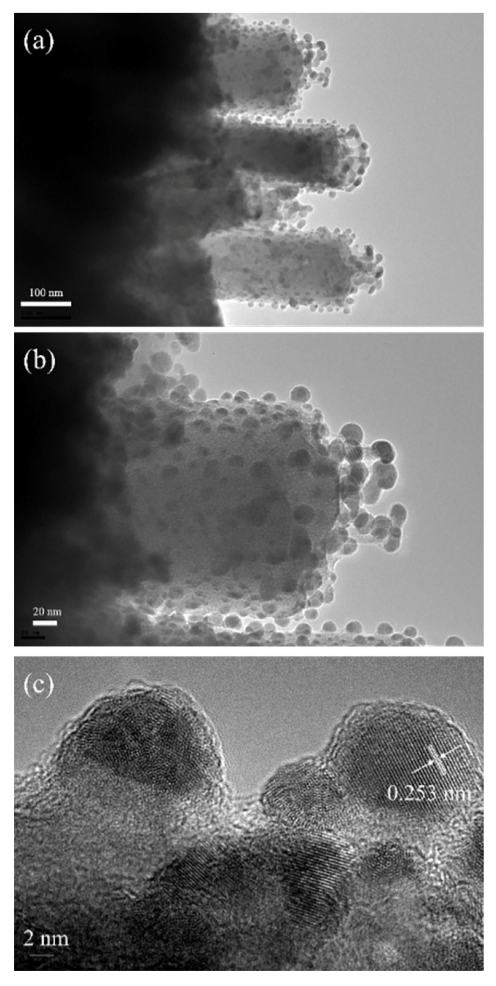 Nanomaterials 11 00461 g004 Nanomaterials 11 00461 g004