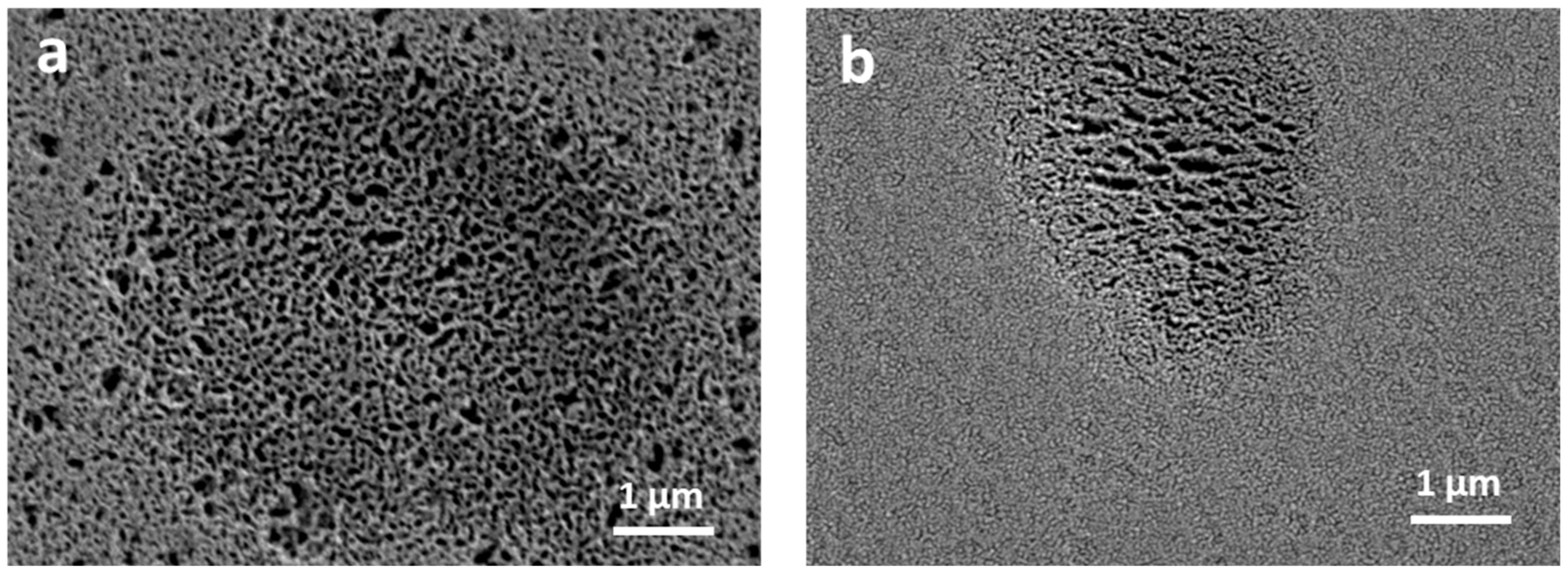 Nanomaterials 11 00465 g003 Nanomaterials 11 00465 g003
