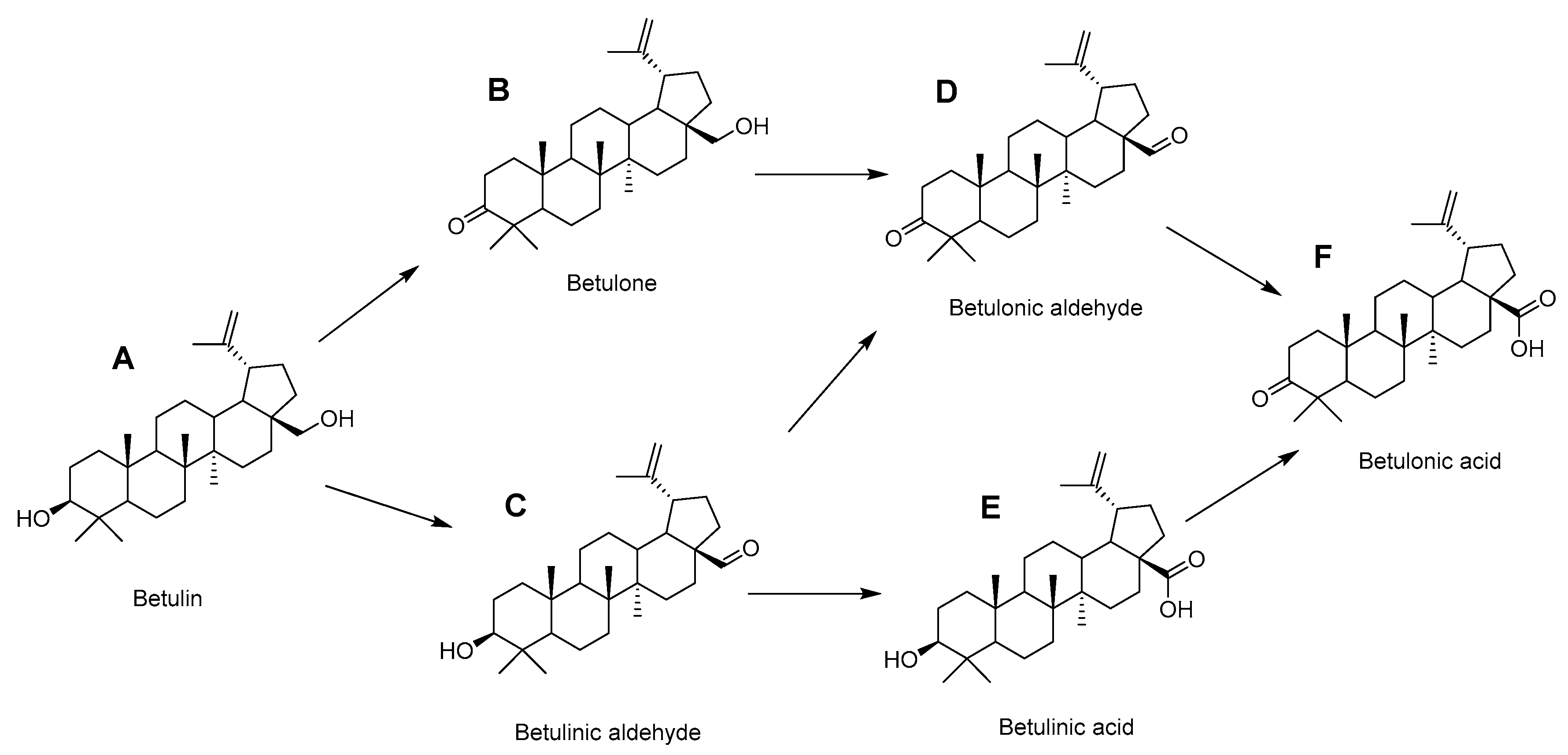 Nanomaterials 11 00469 sch001