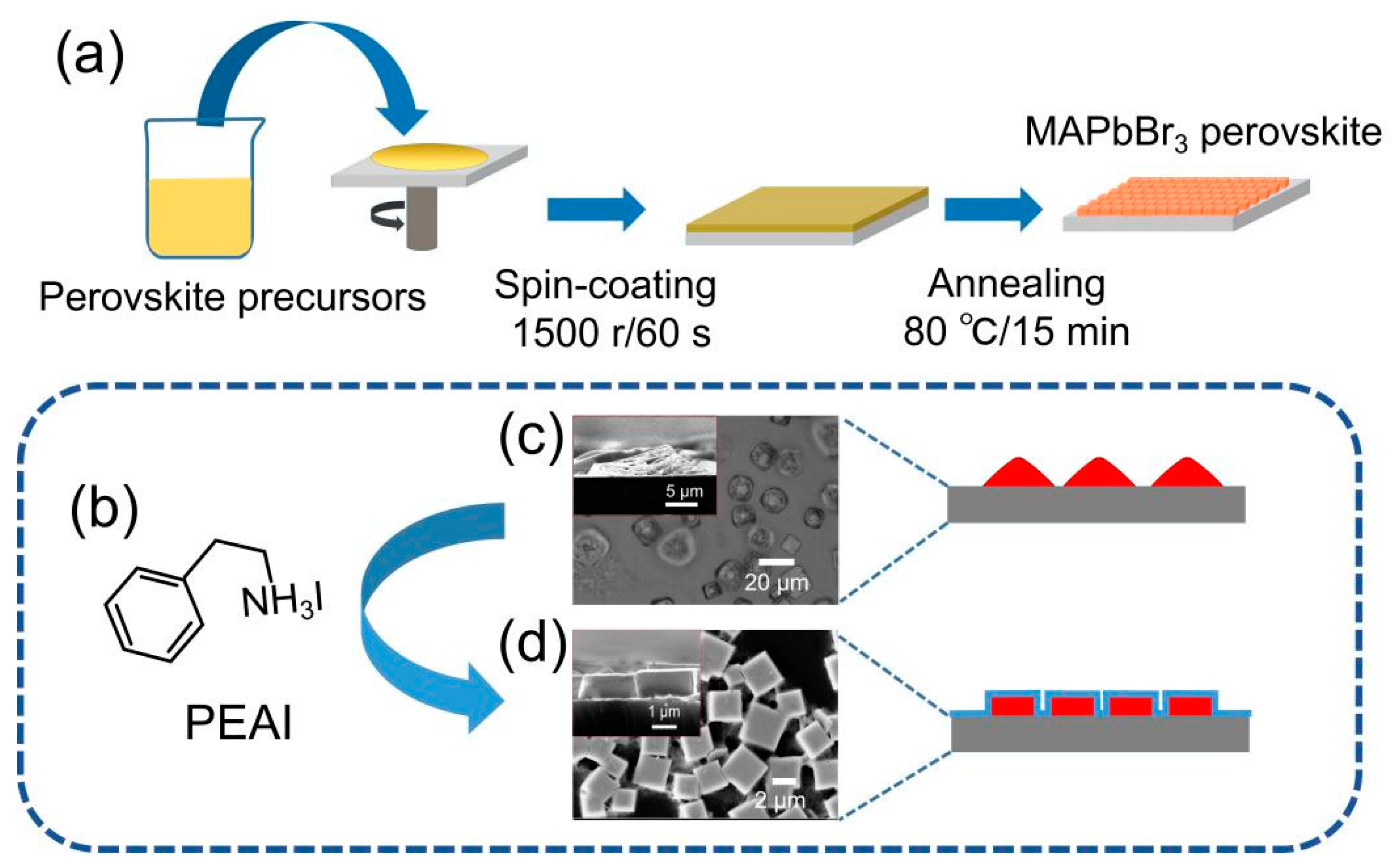 Nanomaterials 11 00473 g001 Nanomaterials 11 00473 g001