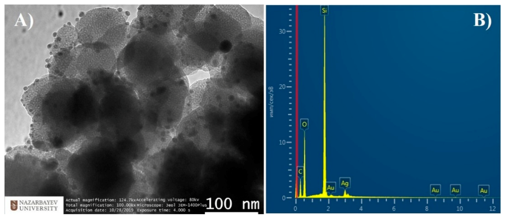Nanomaterials 11 00477 g001