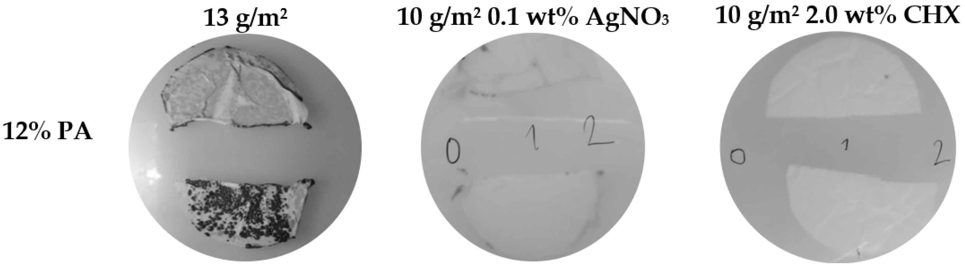 Nanomaterials 11 00480 g004 Nanomaterials 11 00480 g004