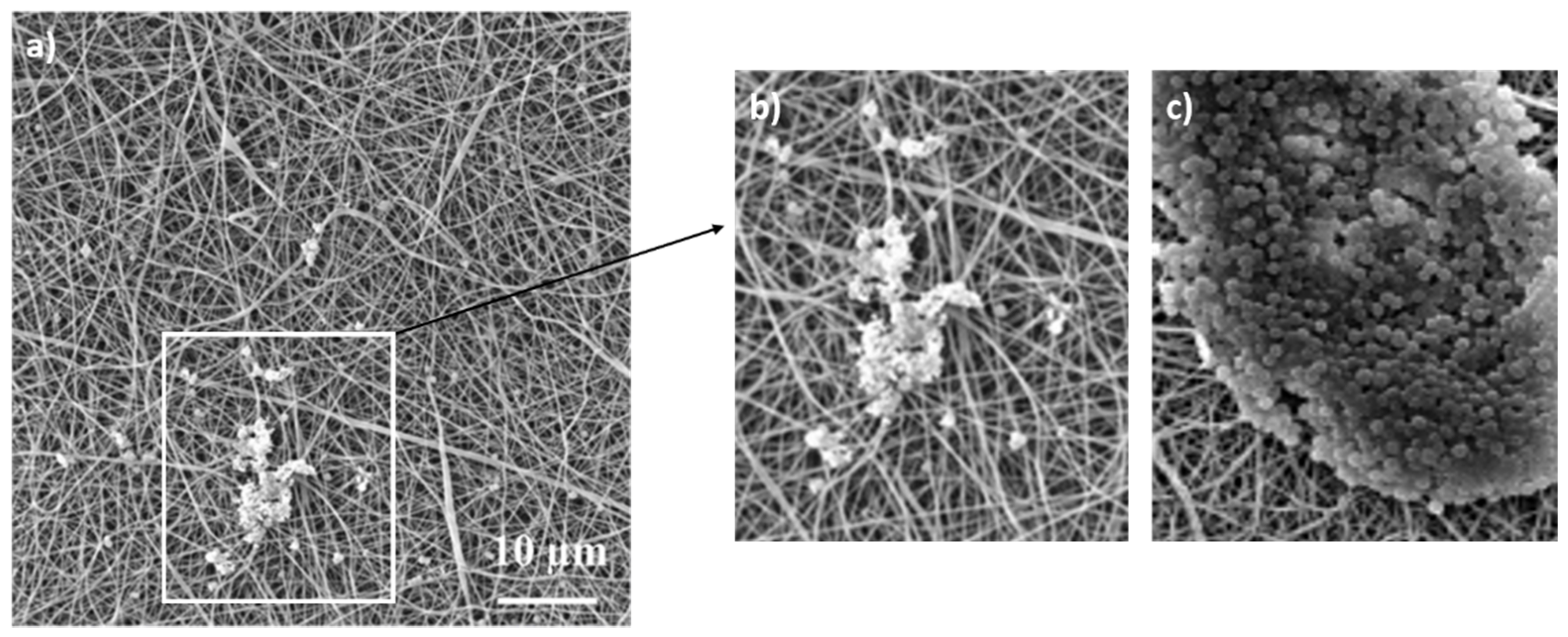 Nanomaterials 11 00480 g006 Nanomaterials 11 00480 g006