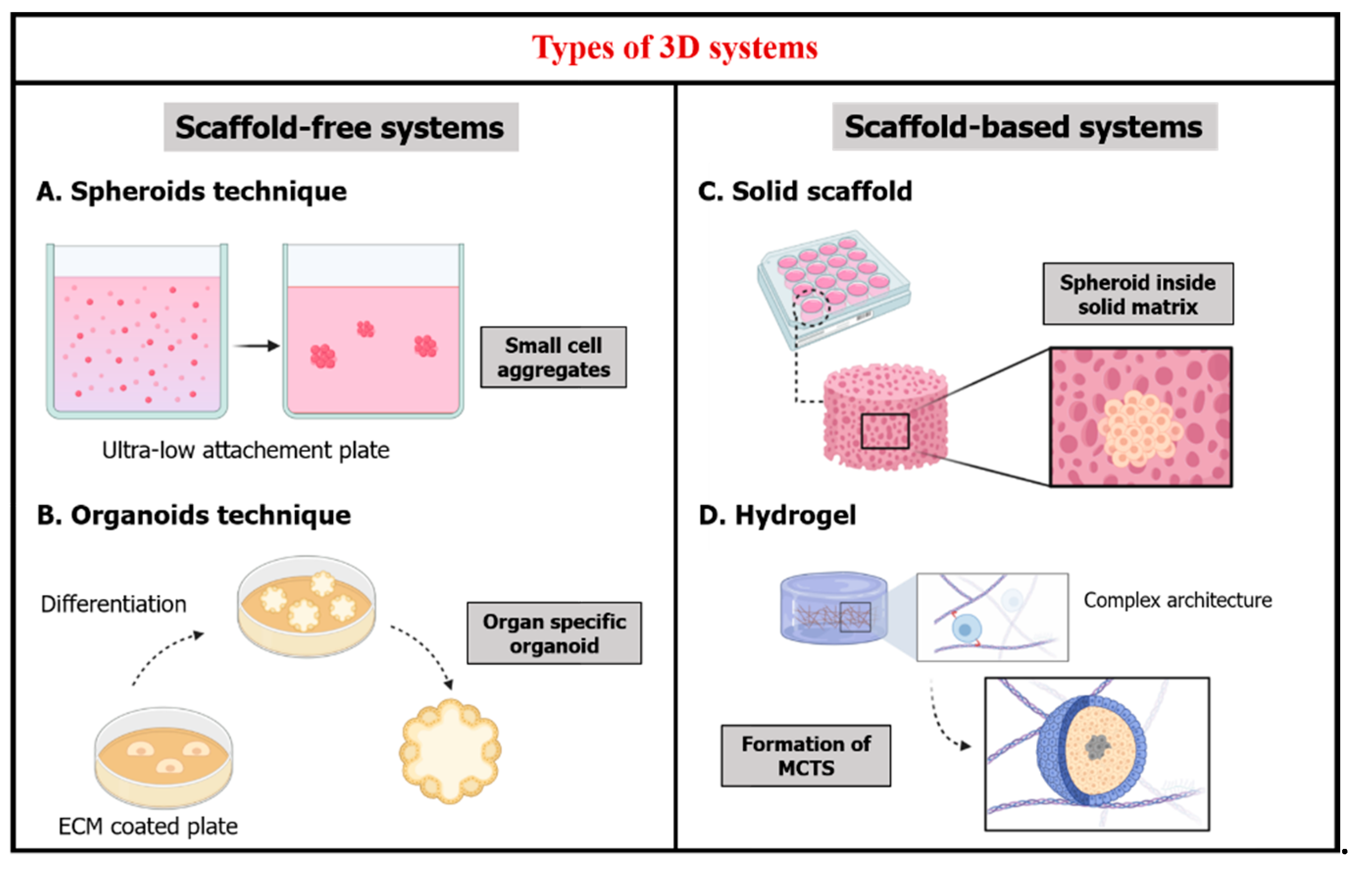 Nanomaterials 11 00481 g002