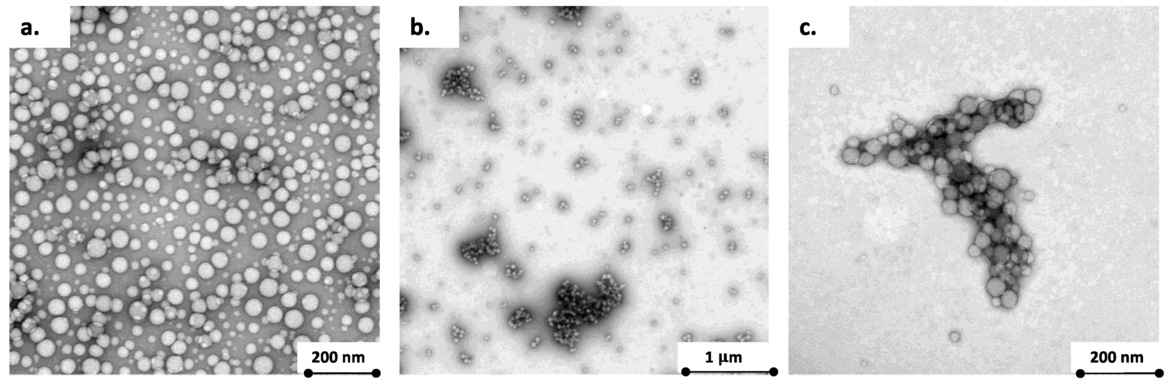 Nanomaterials 11 00482 g001