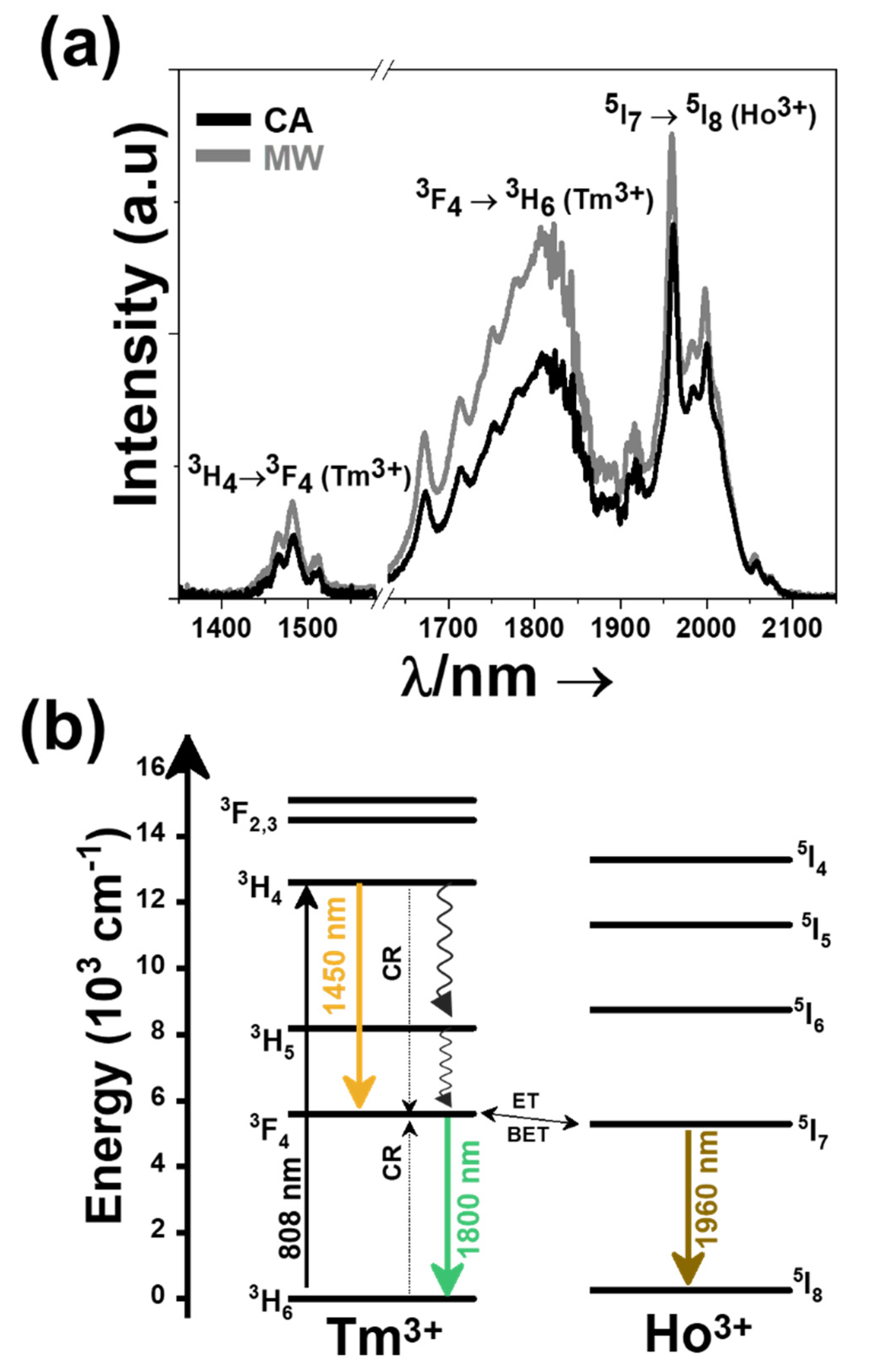 Nanomaterials 11 00485 g004 Nanomaterials 11 00485 g004
