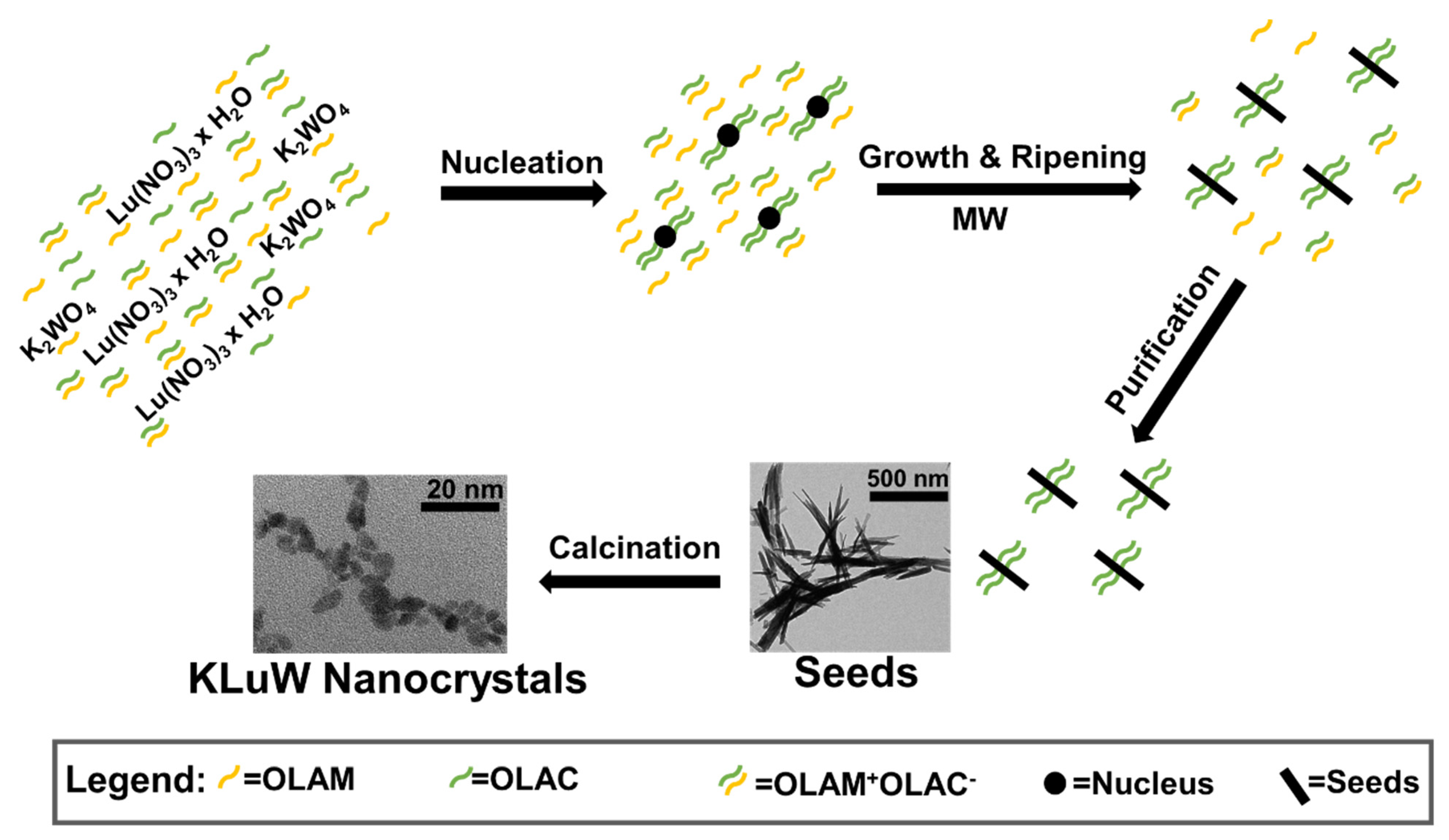 Nanomaterials 11 00485 sch001 Nanomaterials 11 00485 sch001