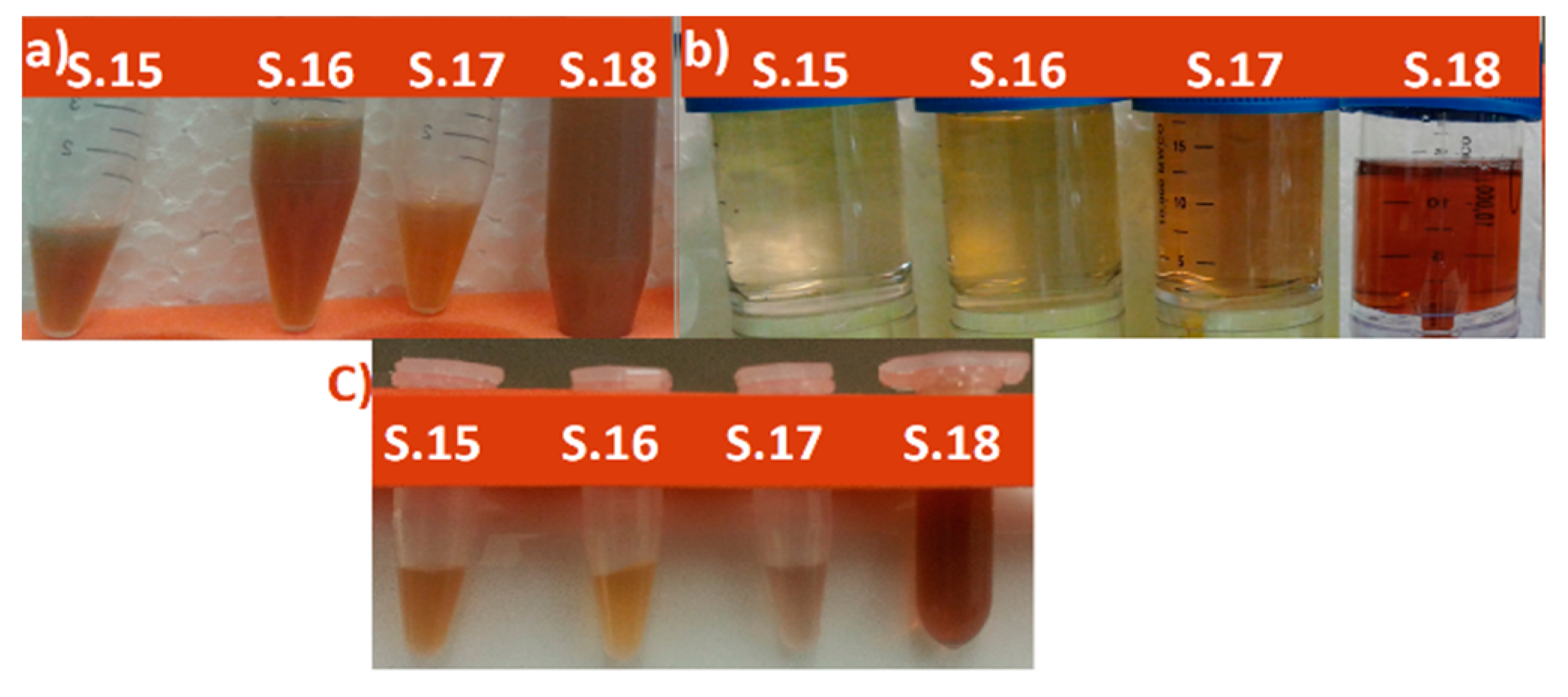 Nanomaterials 11 00487 g001