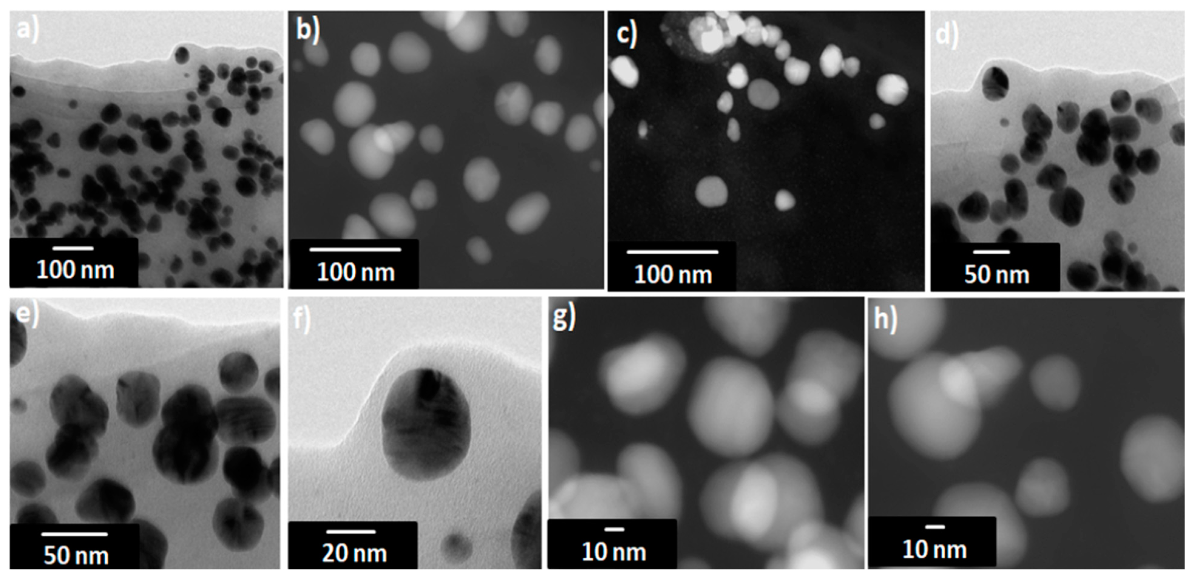 Nanomaterials 11 00487 g006