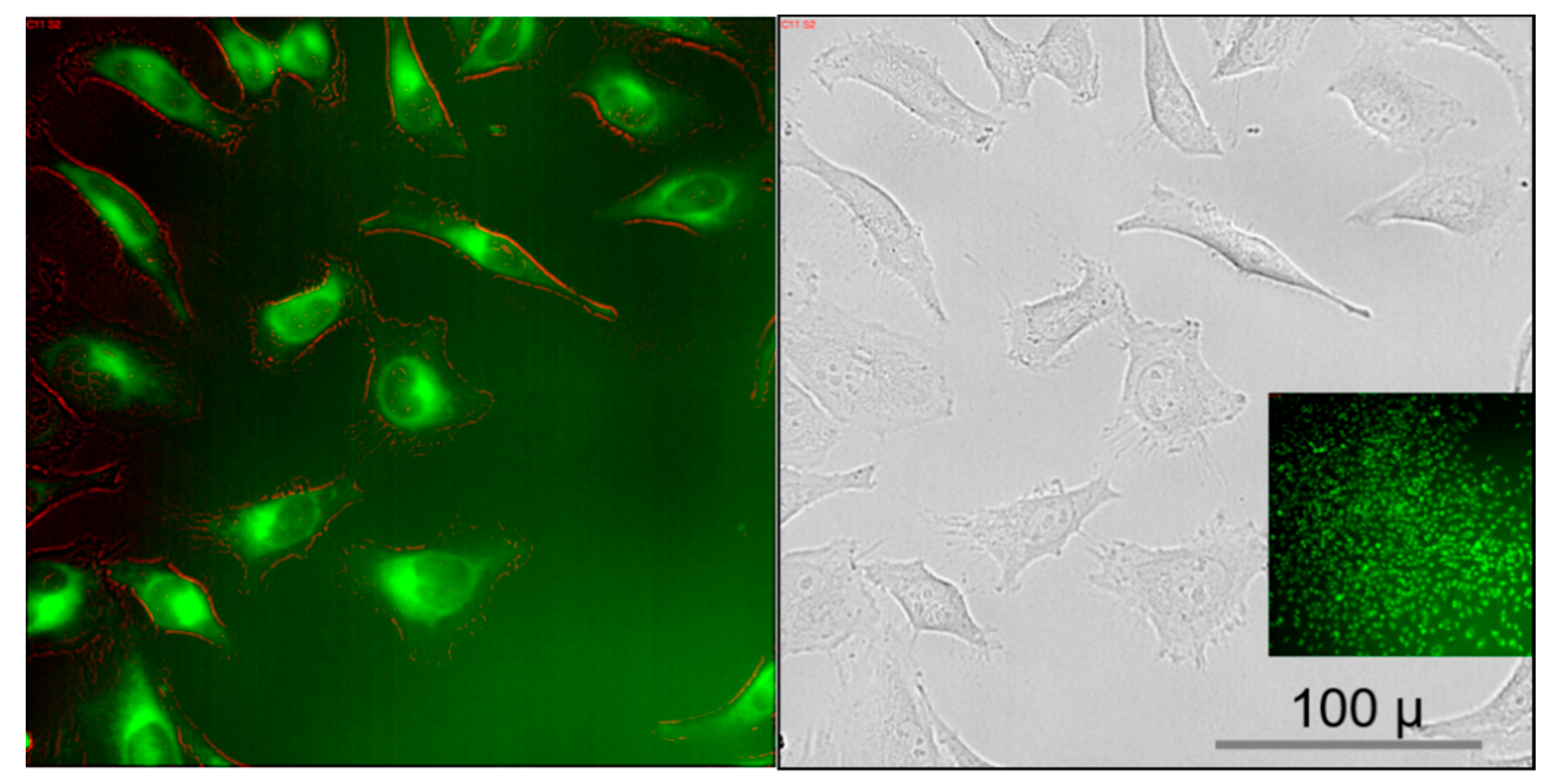 Nanomaterials 11 00489 g003