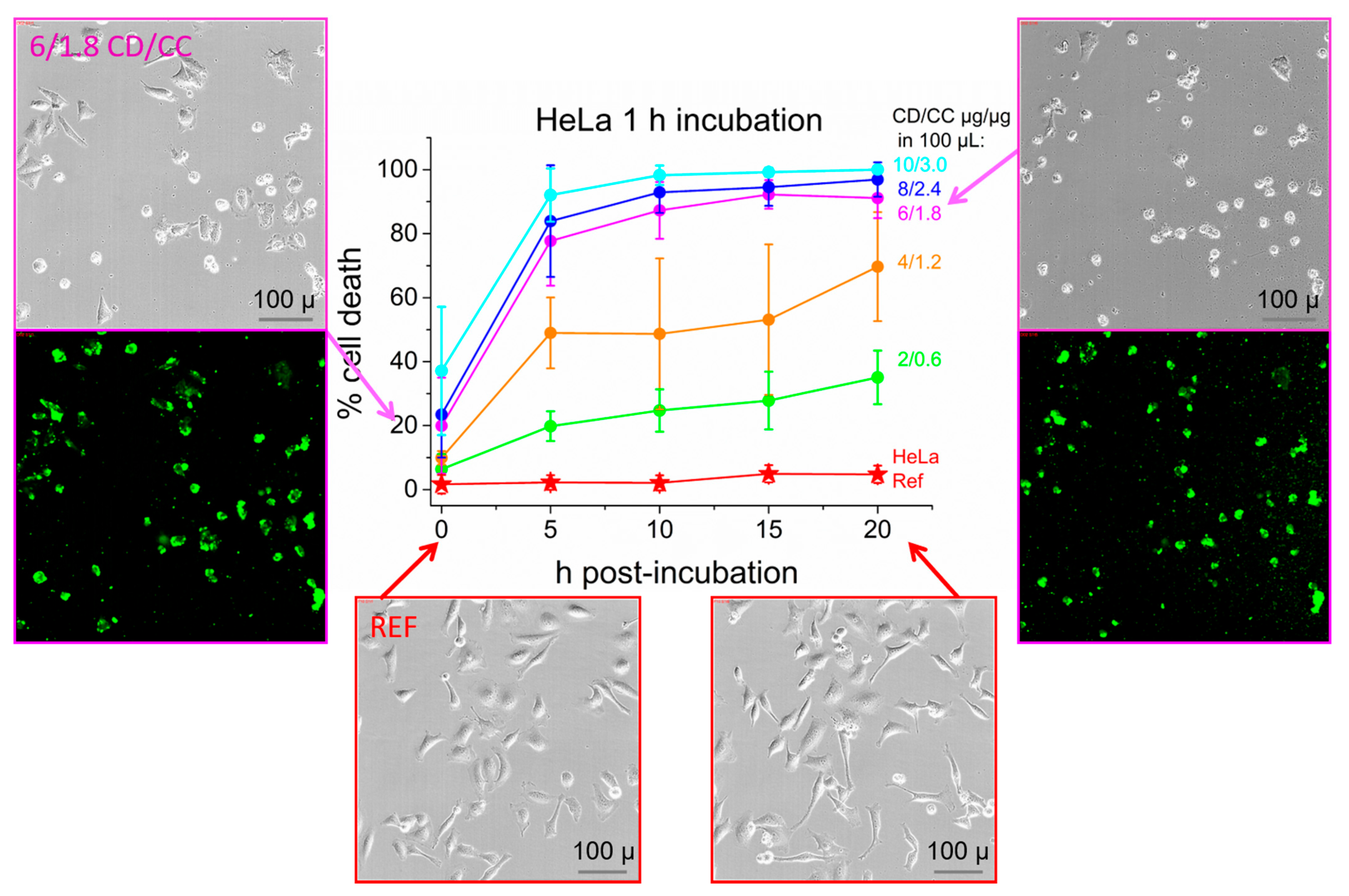 Nanomaterials 11 00489 g005