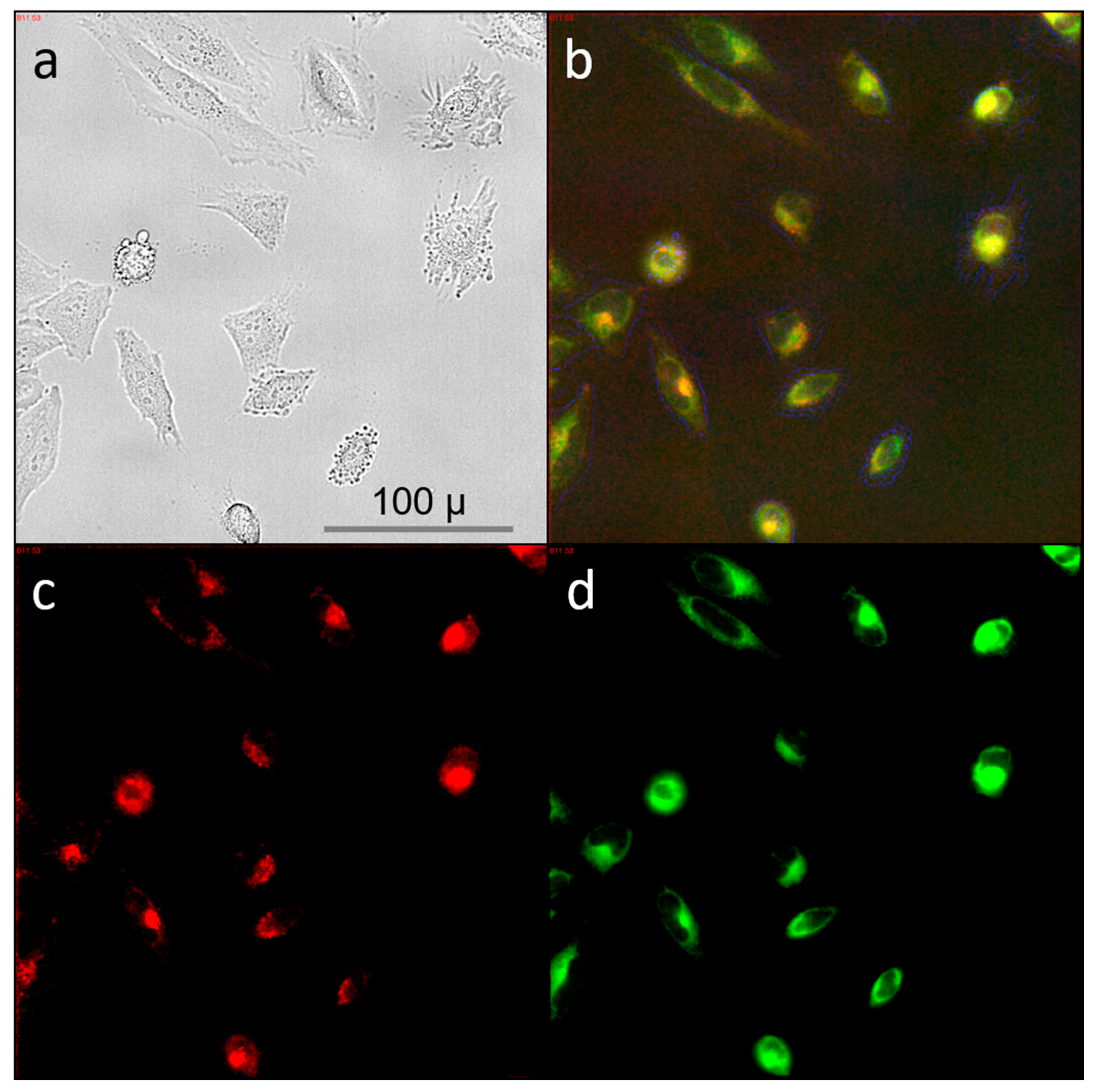 Nanomaterials 11 00489 g007