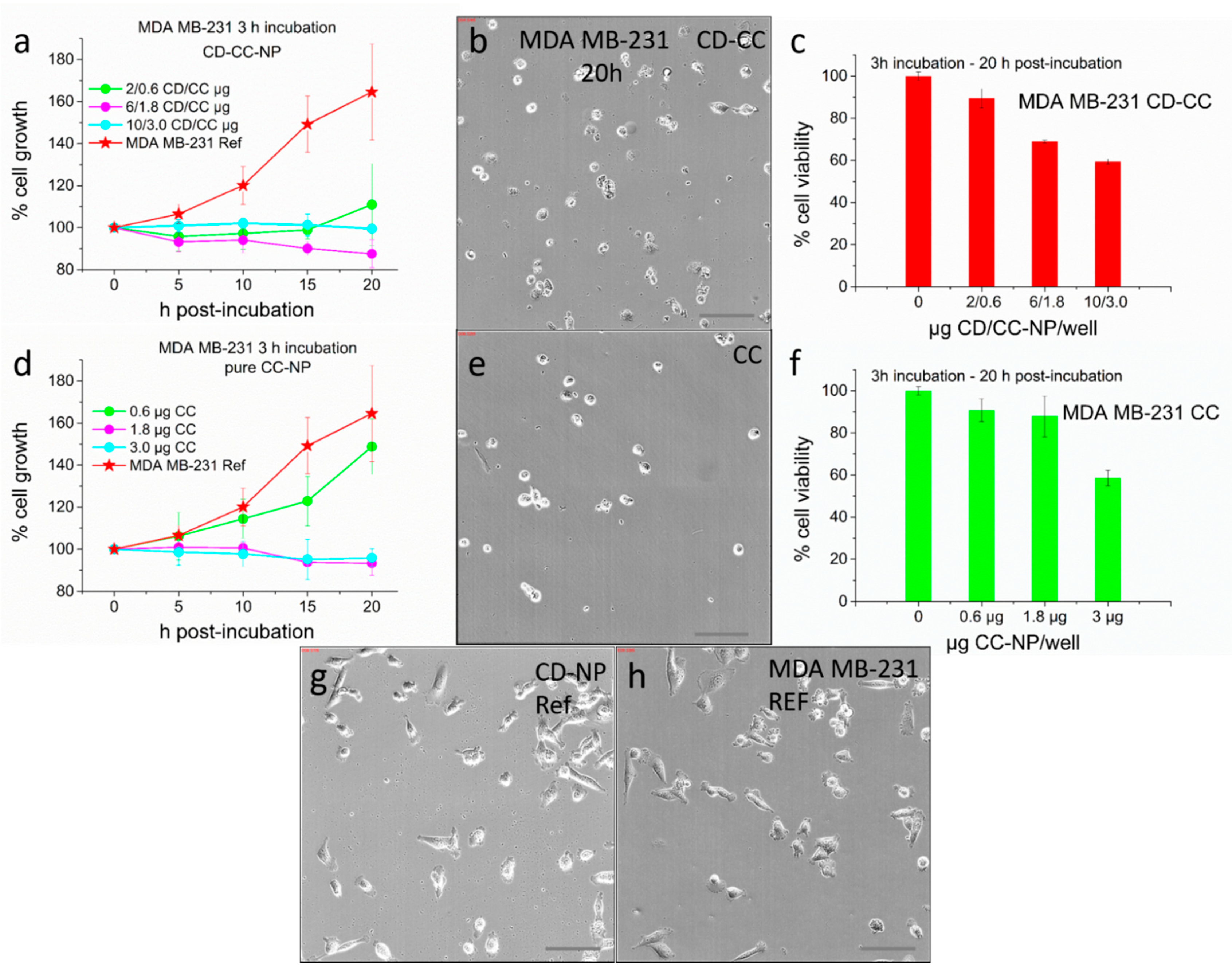 Nanomaterials 11 00489 g010