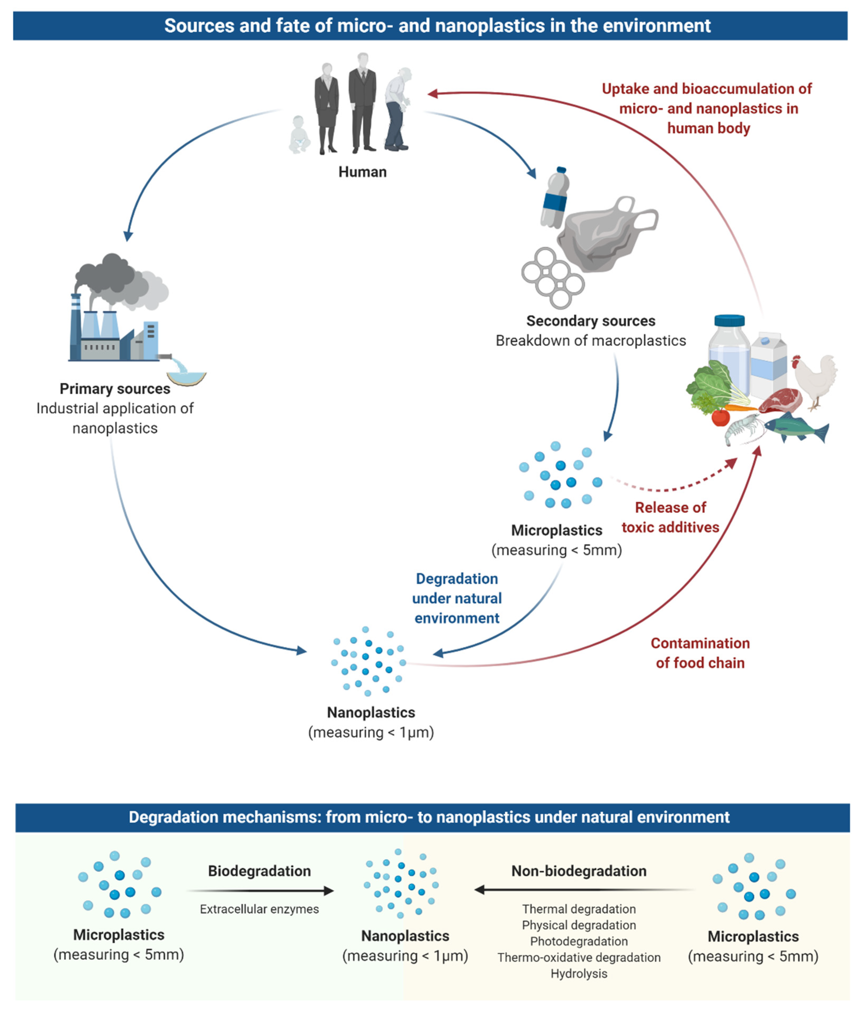 MICRO2020, Fate and Impacts of Microplastics: Knowledge and