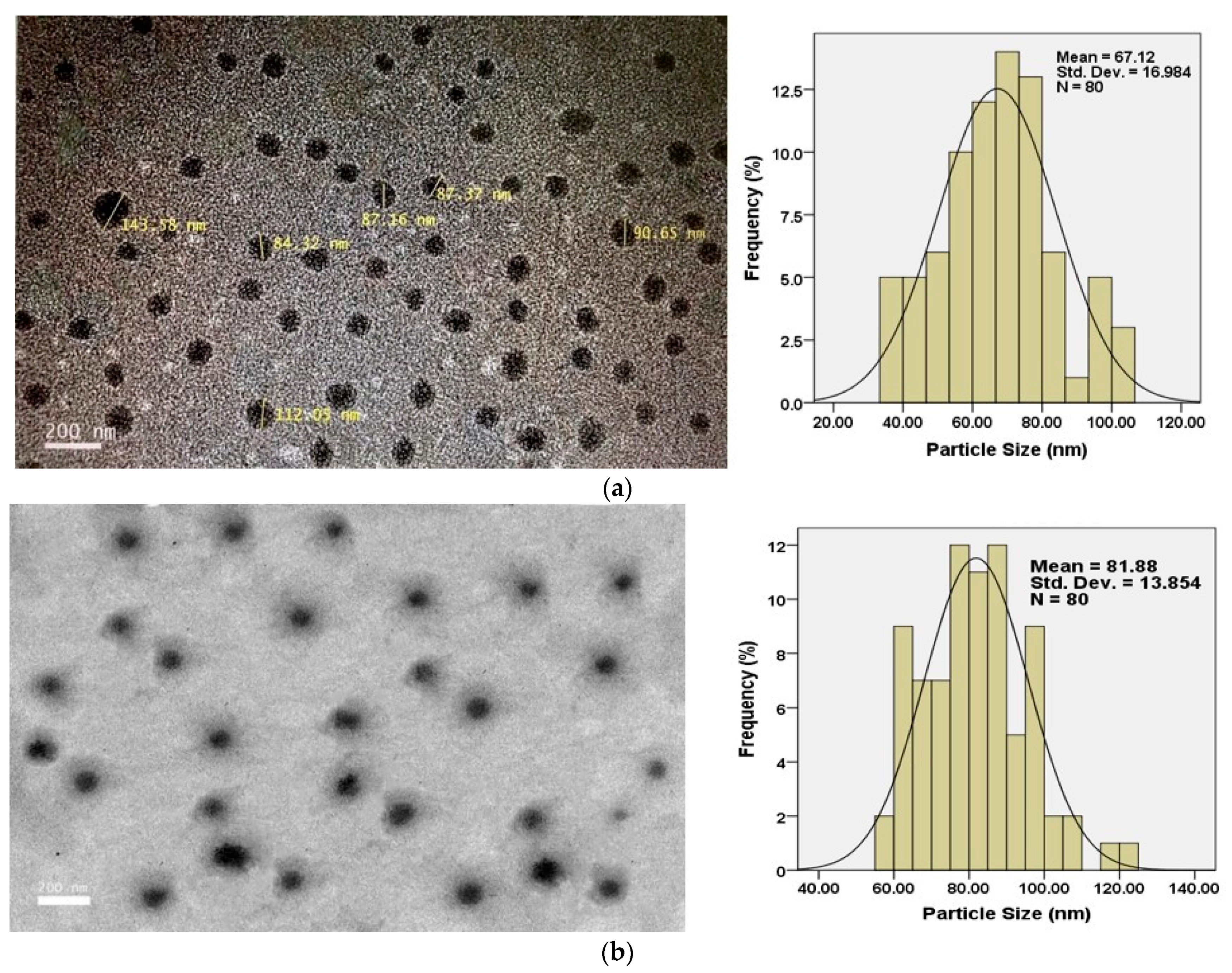 Nanomaterials 11 00497 g008 Nanomaterials 11 00497 g008