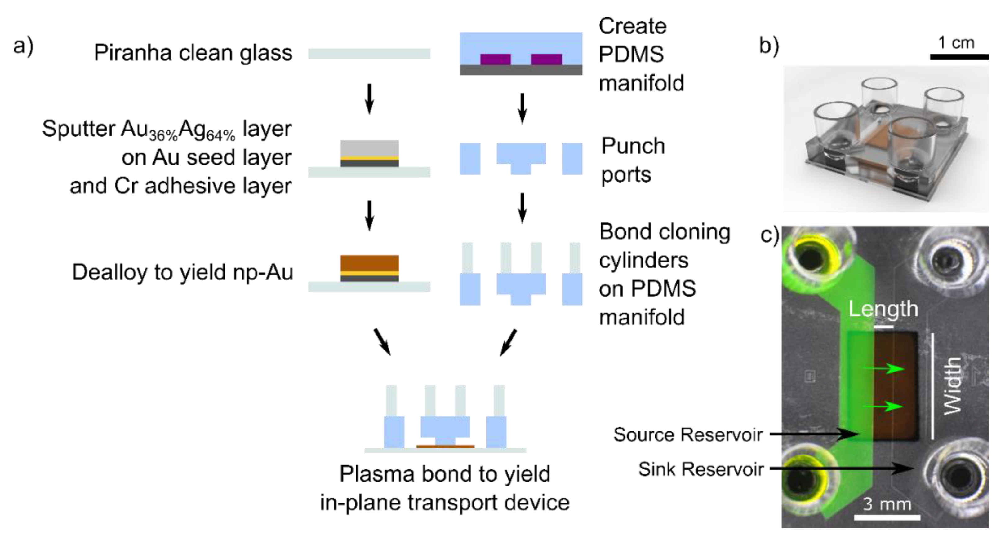 Nanomaterials 11 00498 g001 Nanomaterials 11 00498 g001