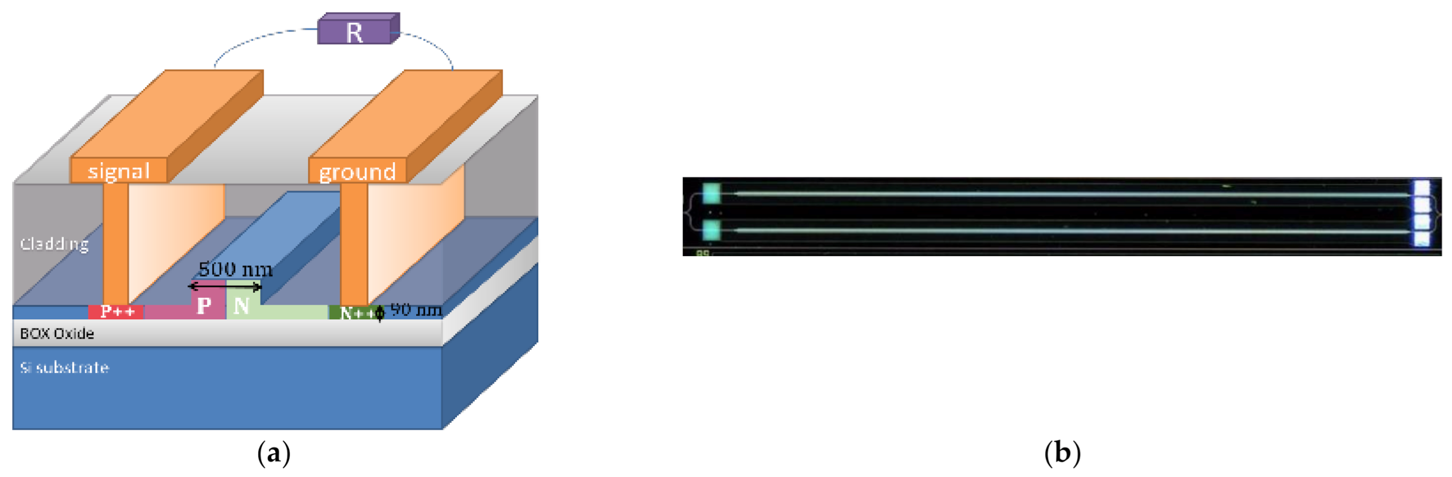 Nanomaterials 11 00499 g001