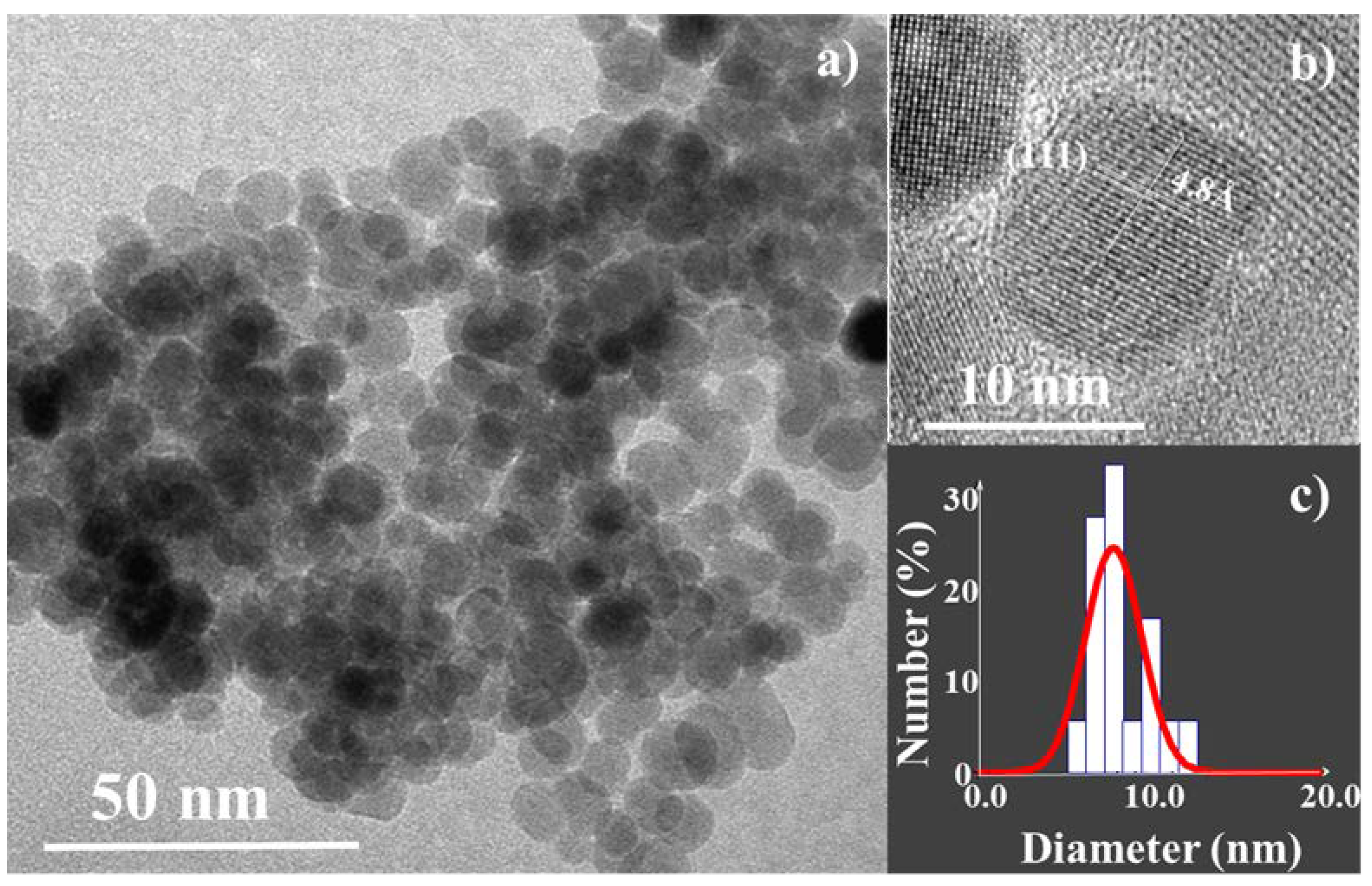 Nanomaterials 11 00502 g002 Nanomaterials 11 00502 g002