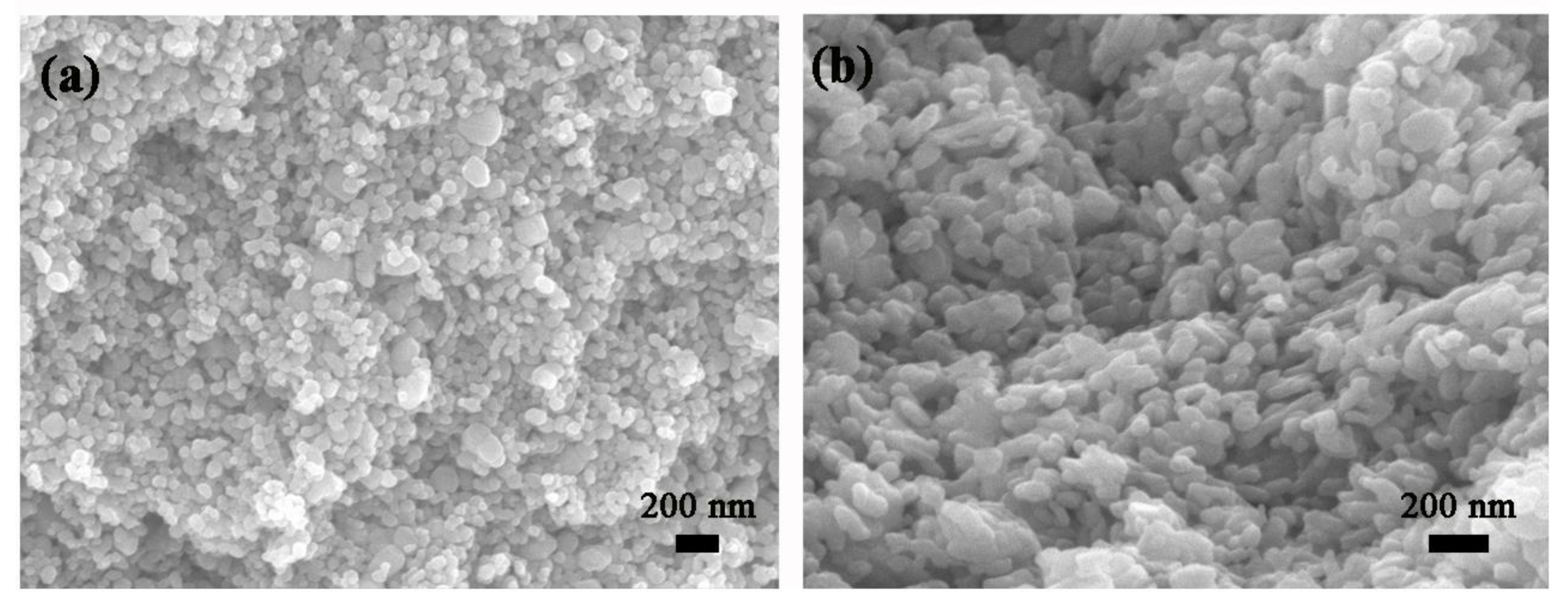 Nanomaterials 11 00504 g002 Nanomaterials 11 00504 g002