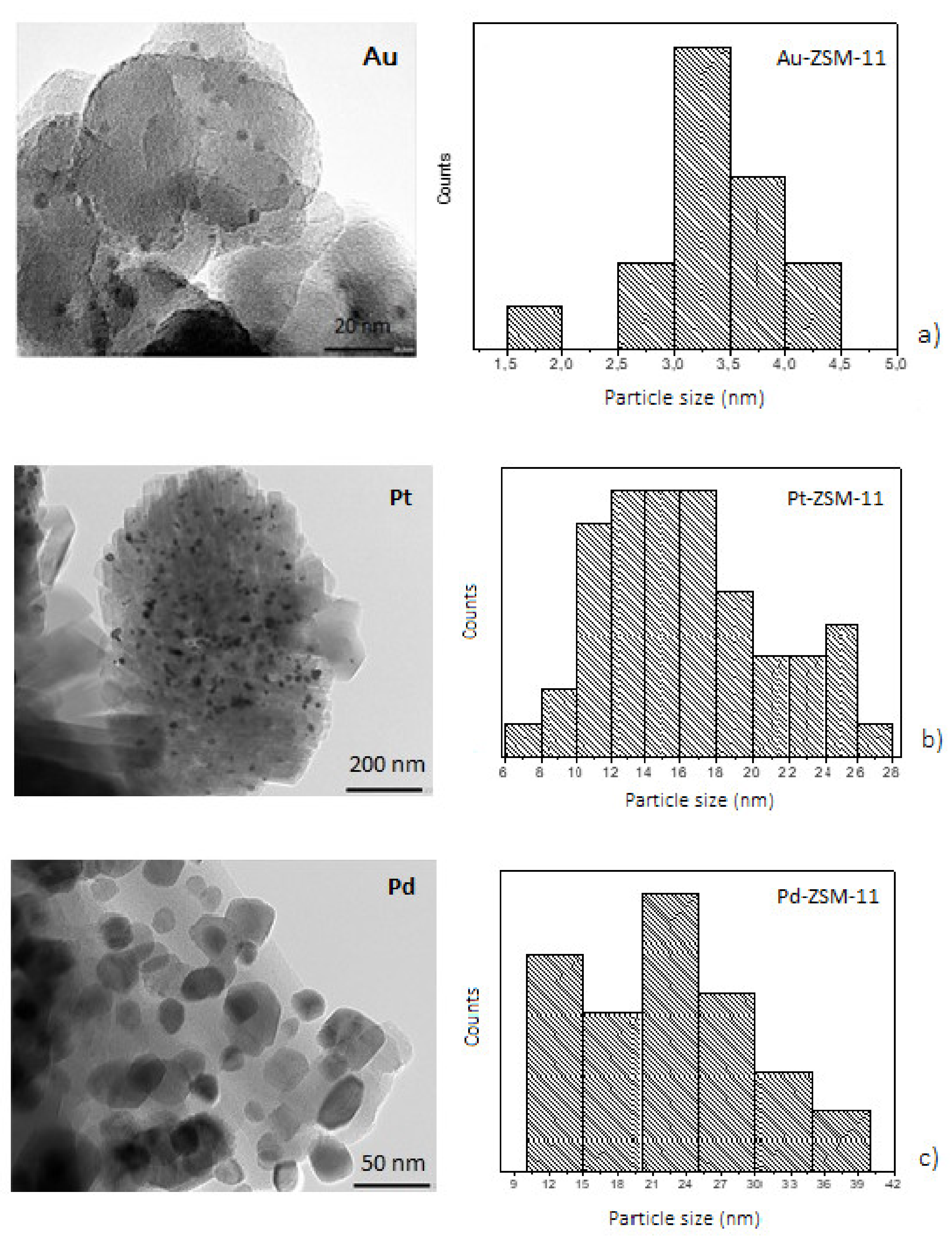 Nanomaterials 11 00510 g003
