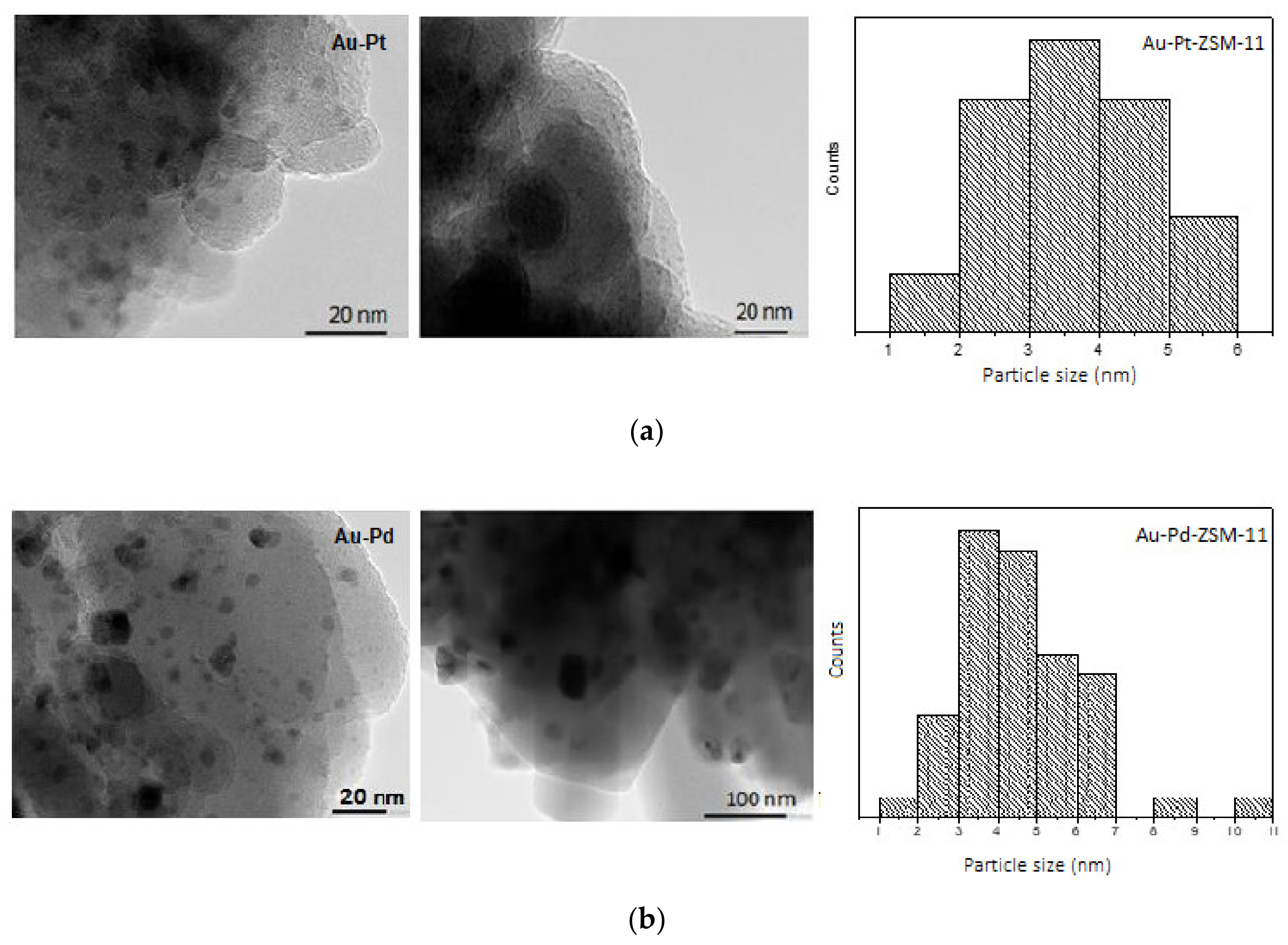 Nanomaterials 11 00510 g004