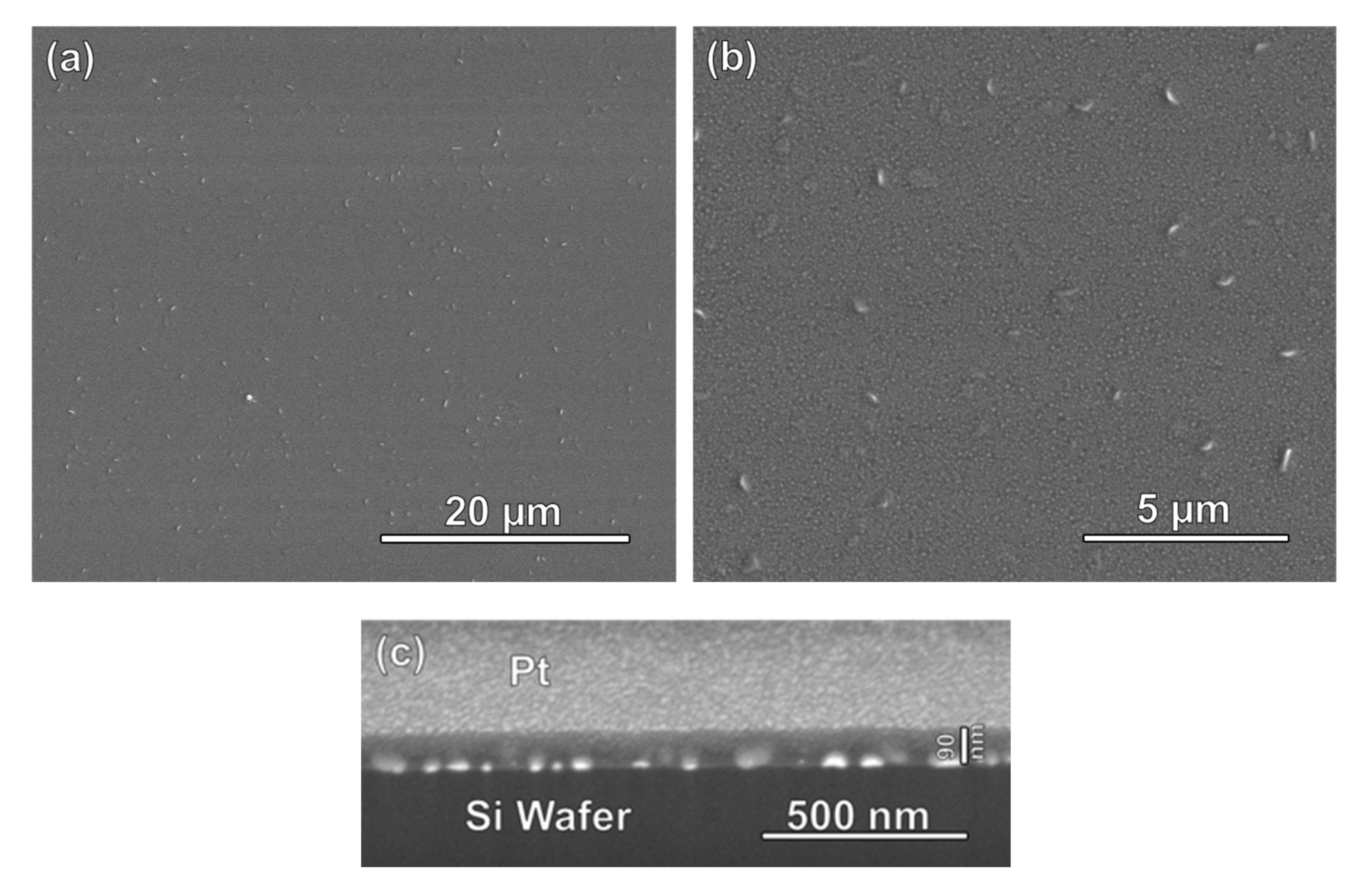 Nanomaterials 11 00512 g002