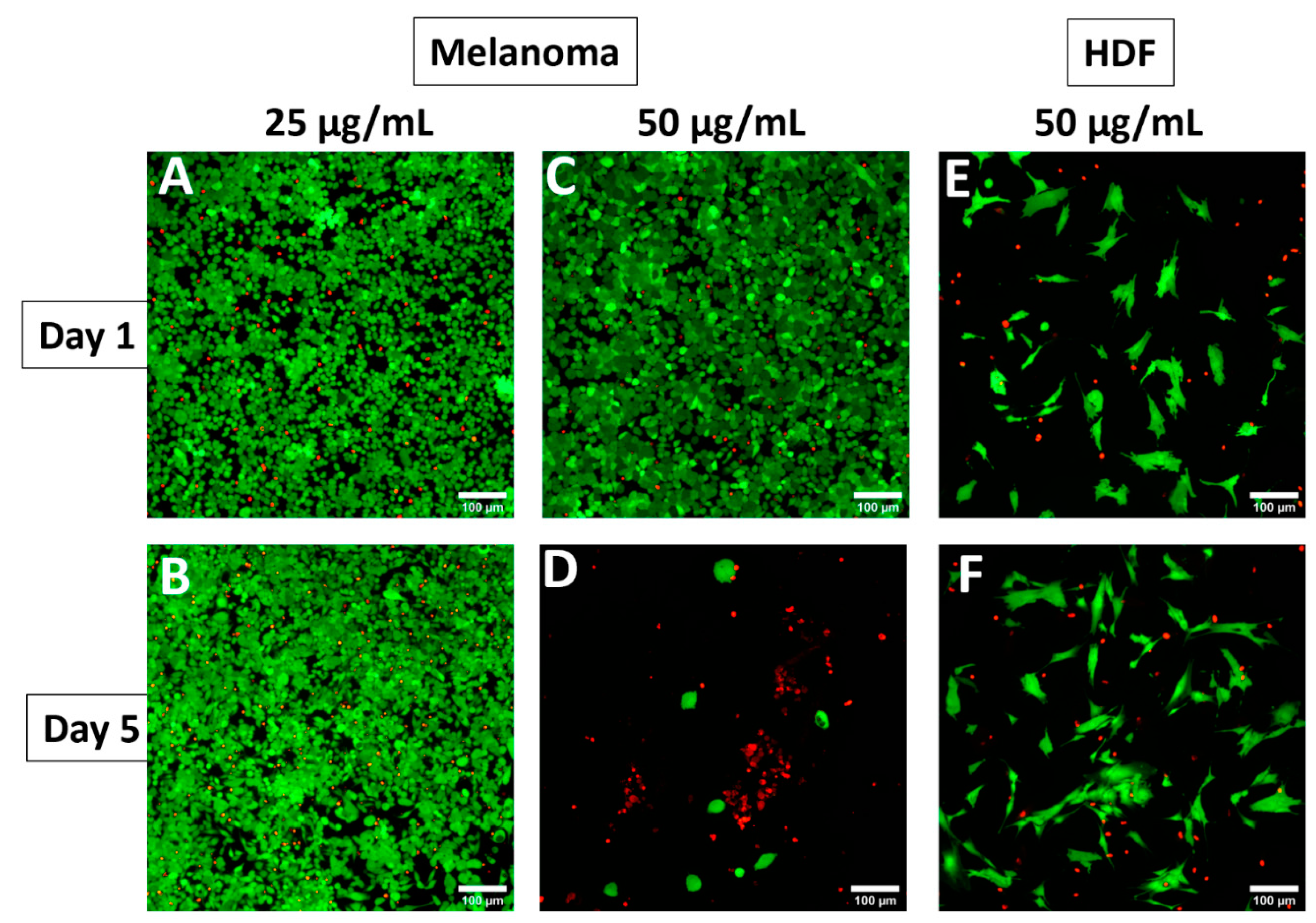 Nanomaterials 11 00514 g008