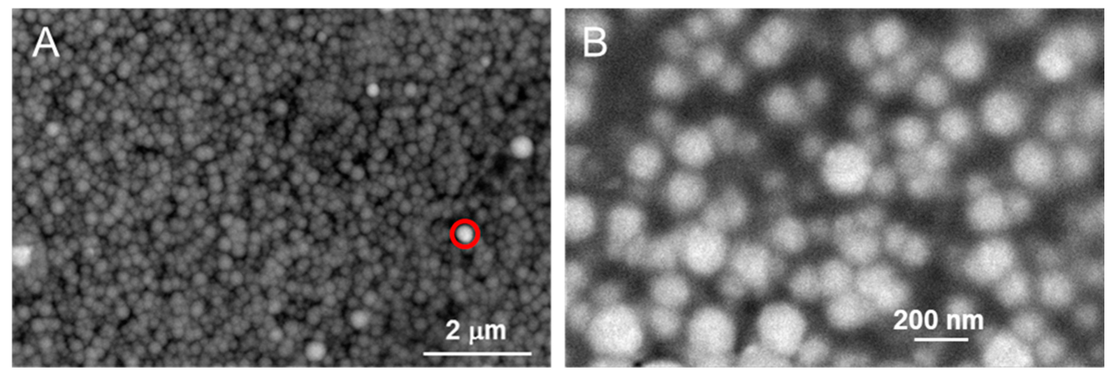 Nanomaterials 11 00514 g0a4