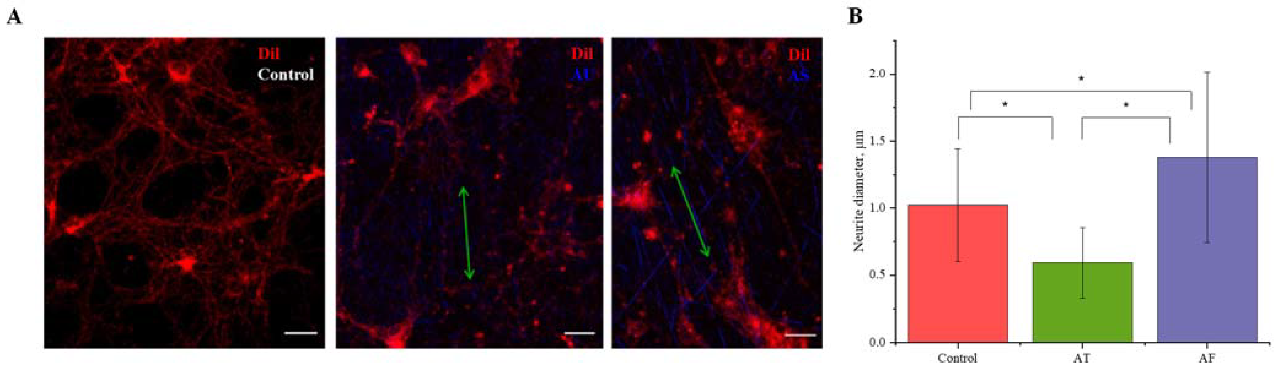 Nanomaterials 11 00516 g005 Nanomaterials 11 00516 g005