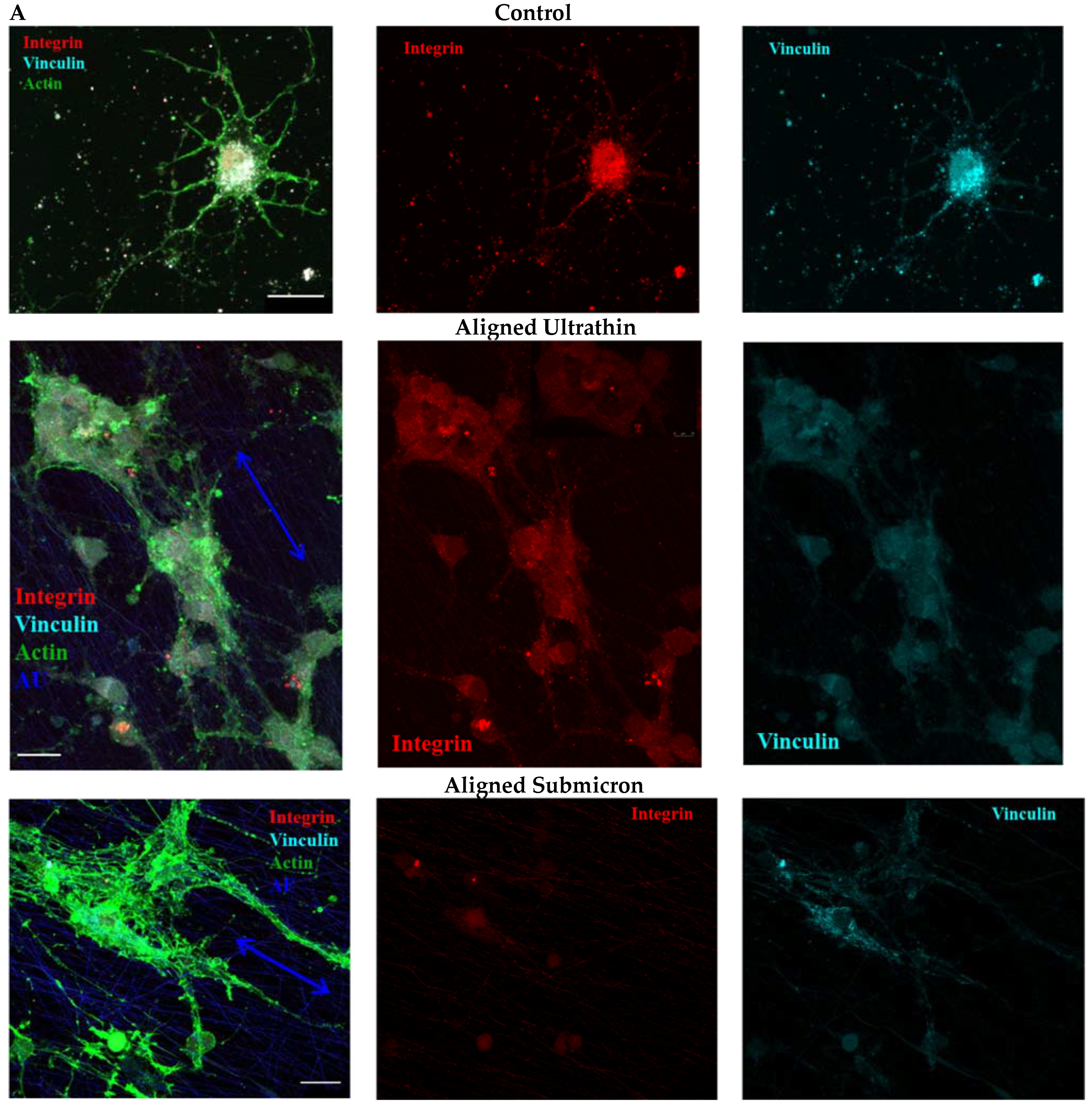 Nanomaterials 11 00516 g007a Nanomaterials 11 00516 g007a
