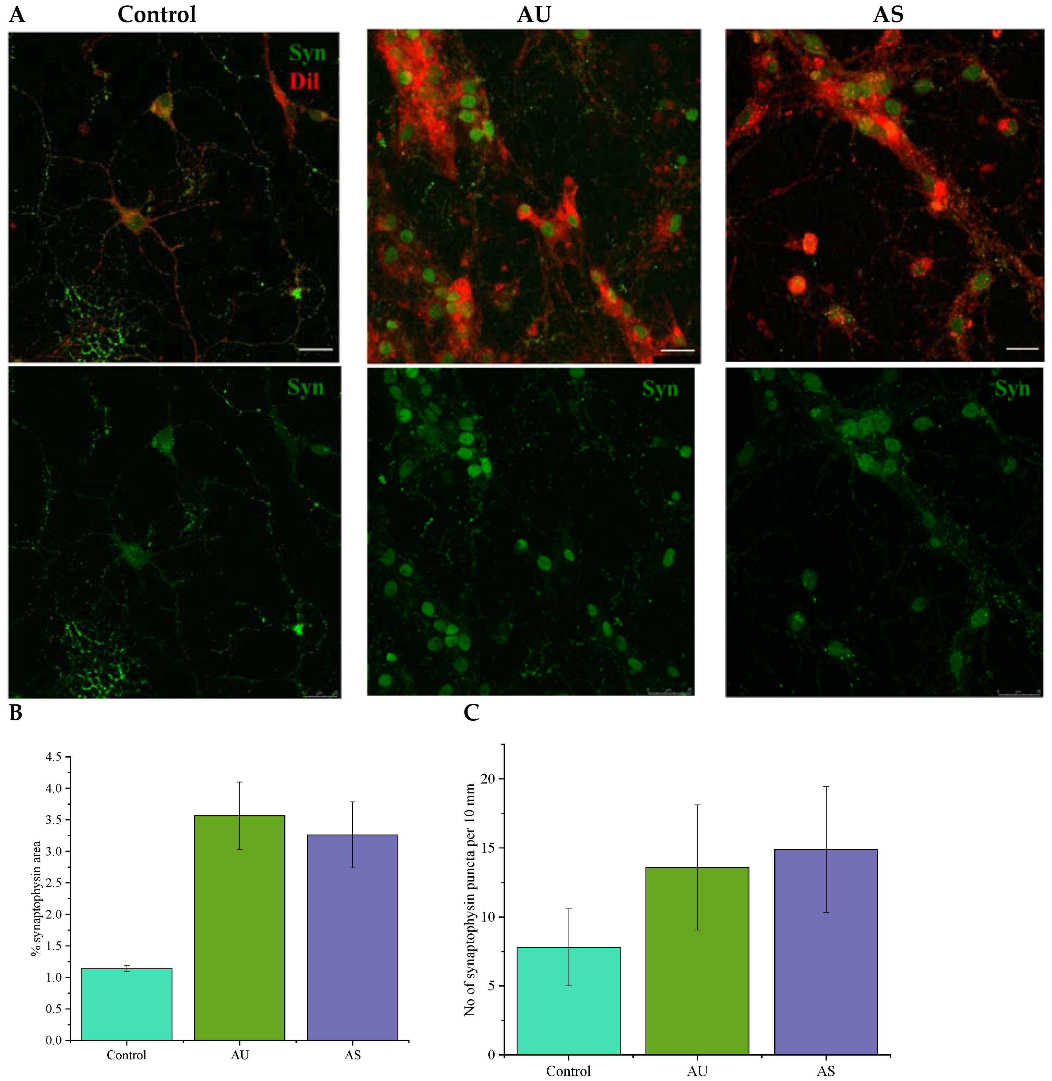 Nanomaterials 11 00516 g008 Nanomaterials 11 00516 g008