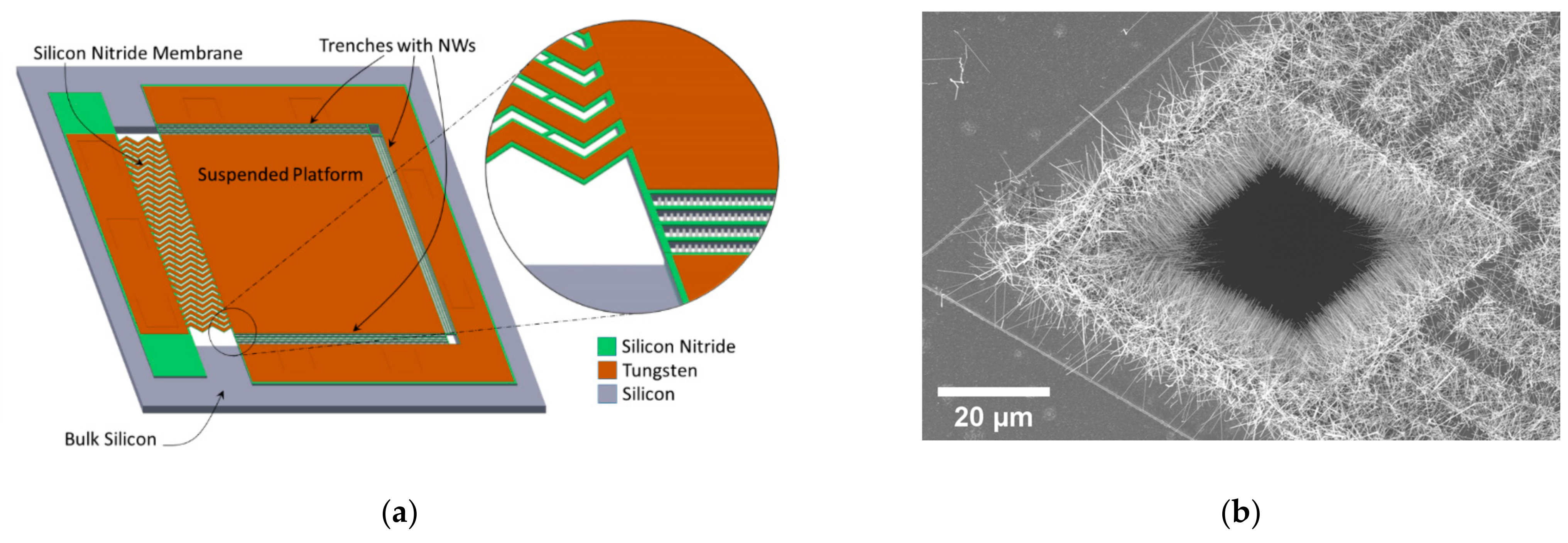 Nanomaterials 11 00517 g001