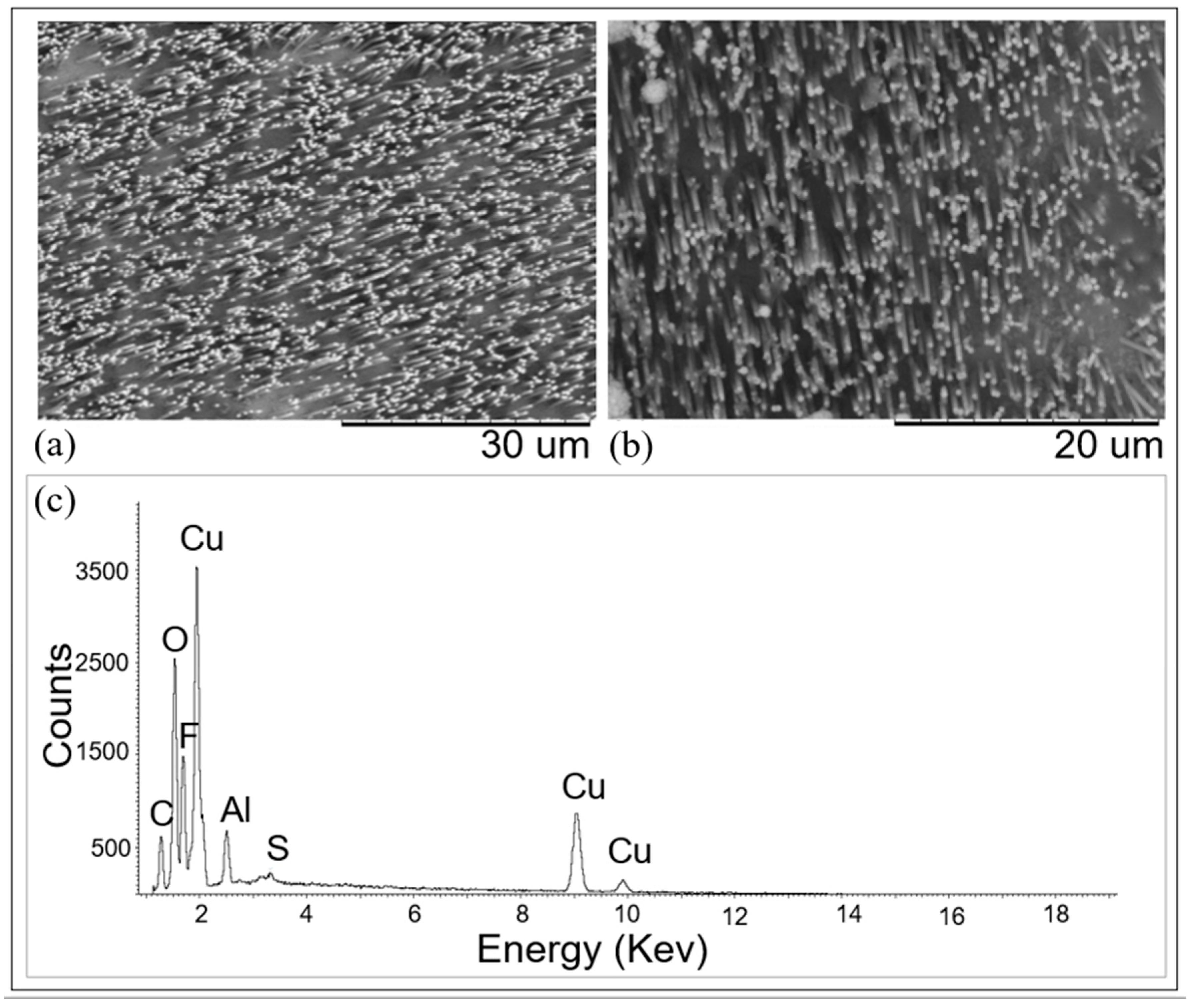 Nanomaterials 11 00518 g007 Nanomaterials 11 00518 g007