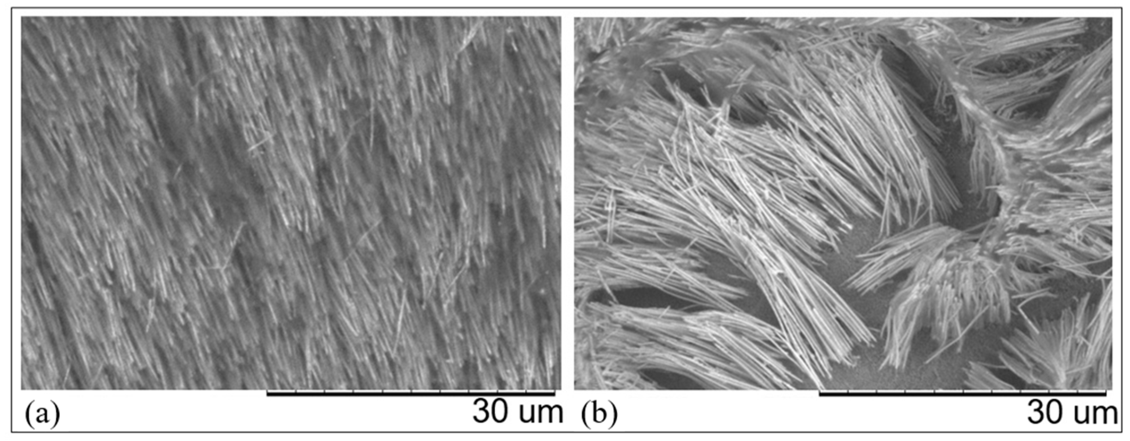 Nanomaterials 11 00518 g008 Nanomaterials 11 00518 g008