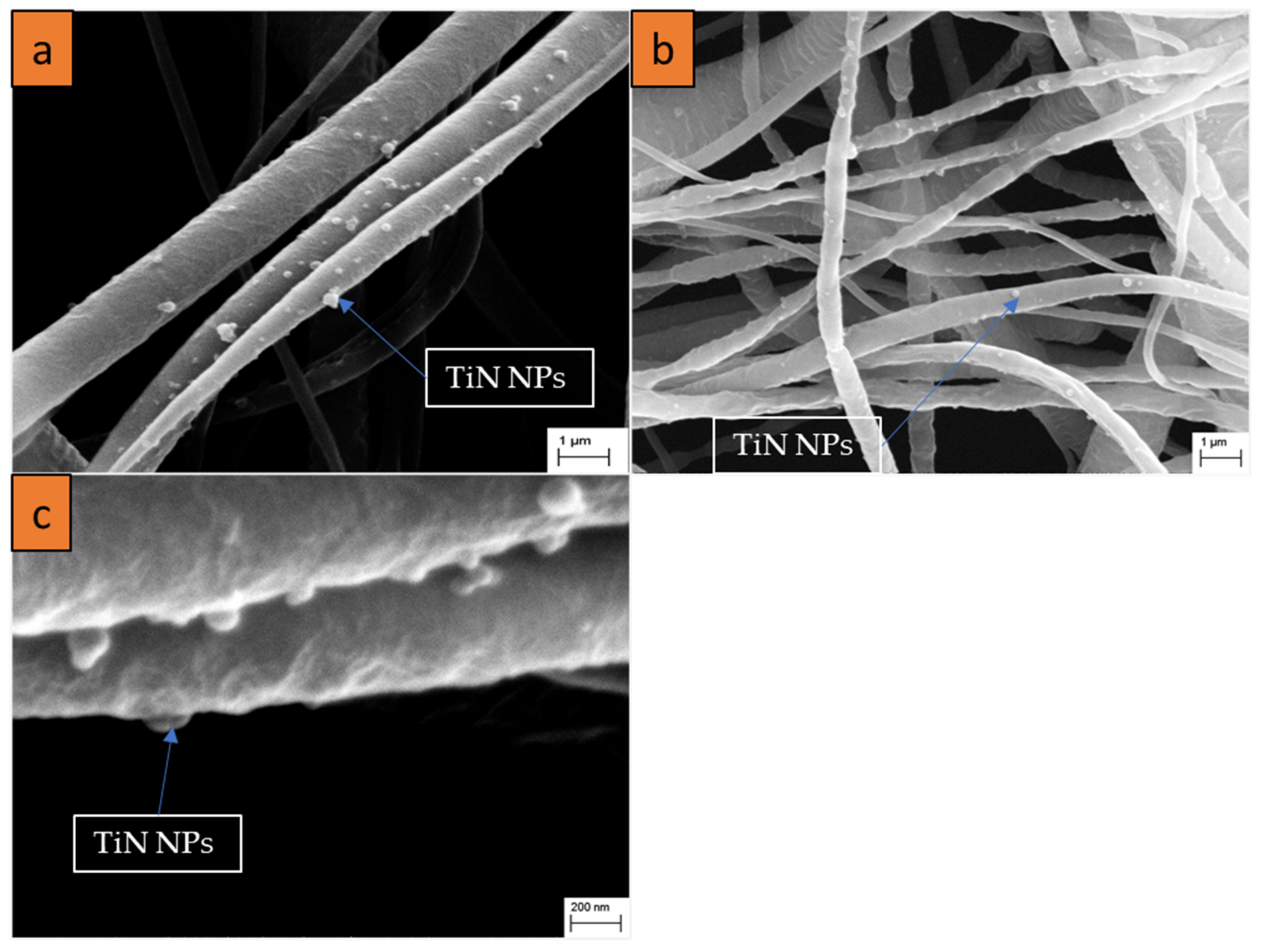 Nanomaterials 11 00519 g002
