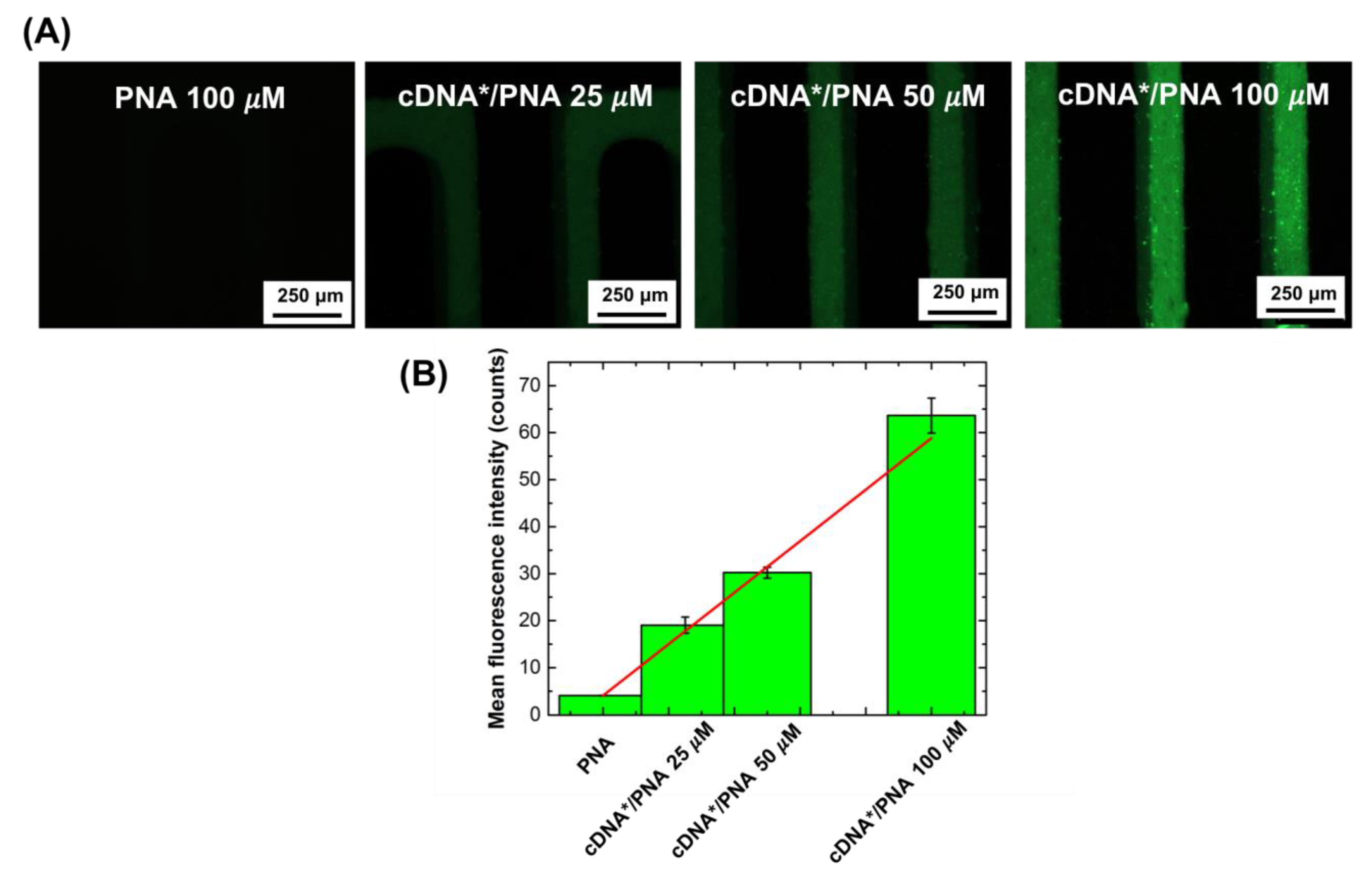Nanomaterials 11 00523 g006