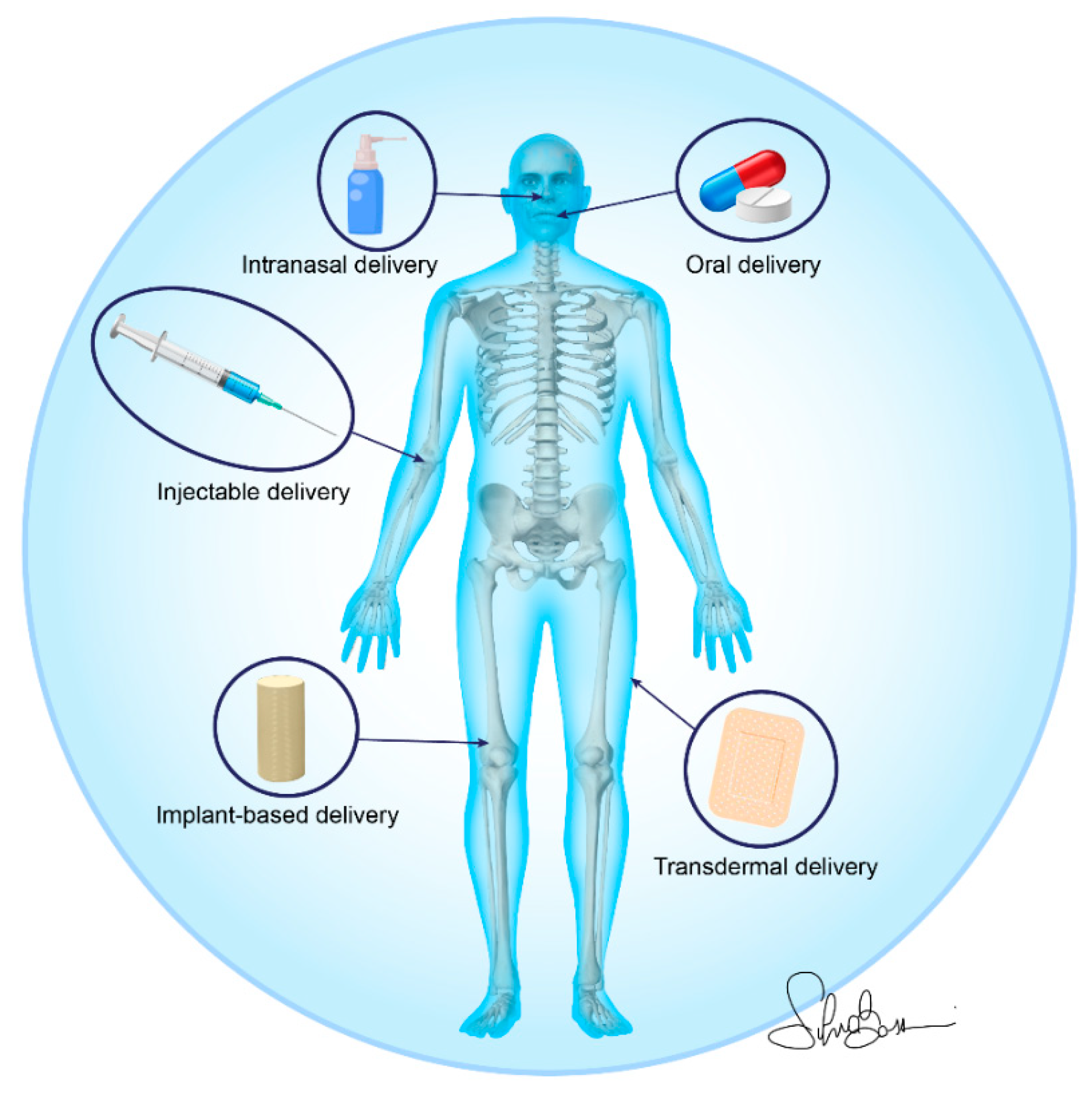 Nanomaterials 11 00530 g004