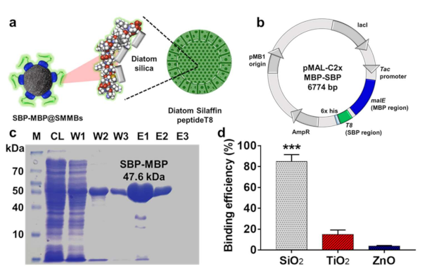 Nanomaterials 11 00532 g001 Nanomaterials 11 00532 g001
